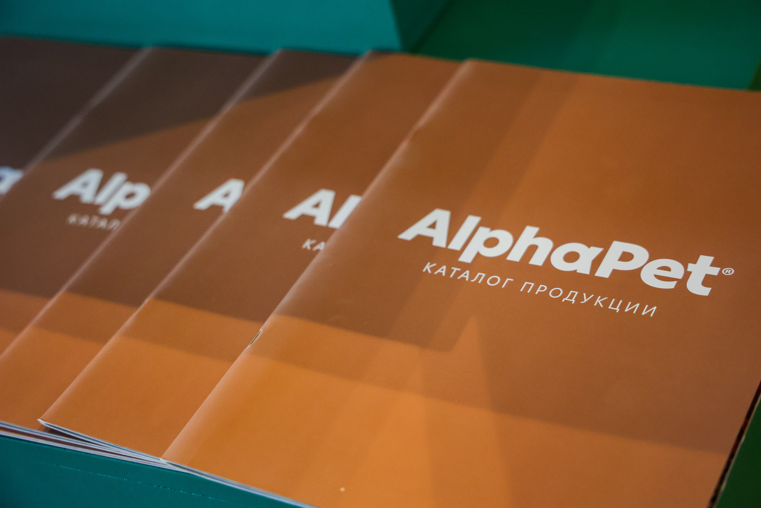 ECO FEST. Фотограф Вадим Бодылев