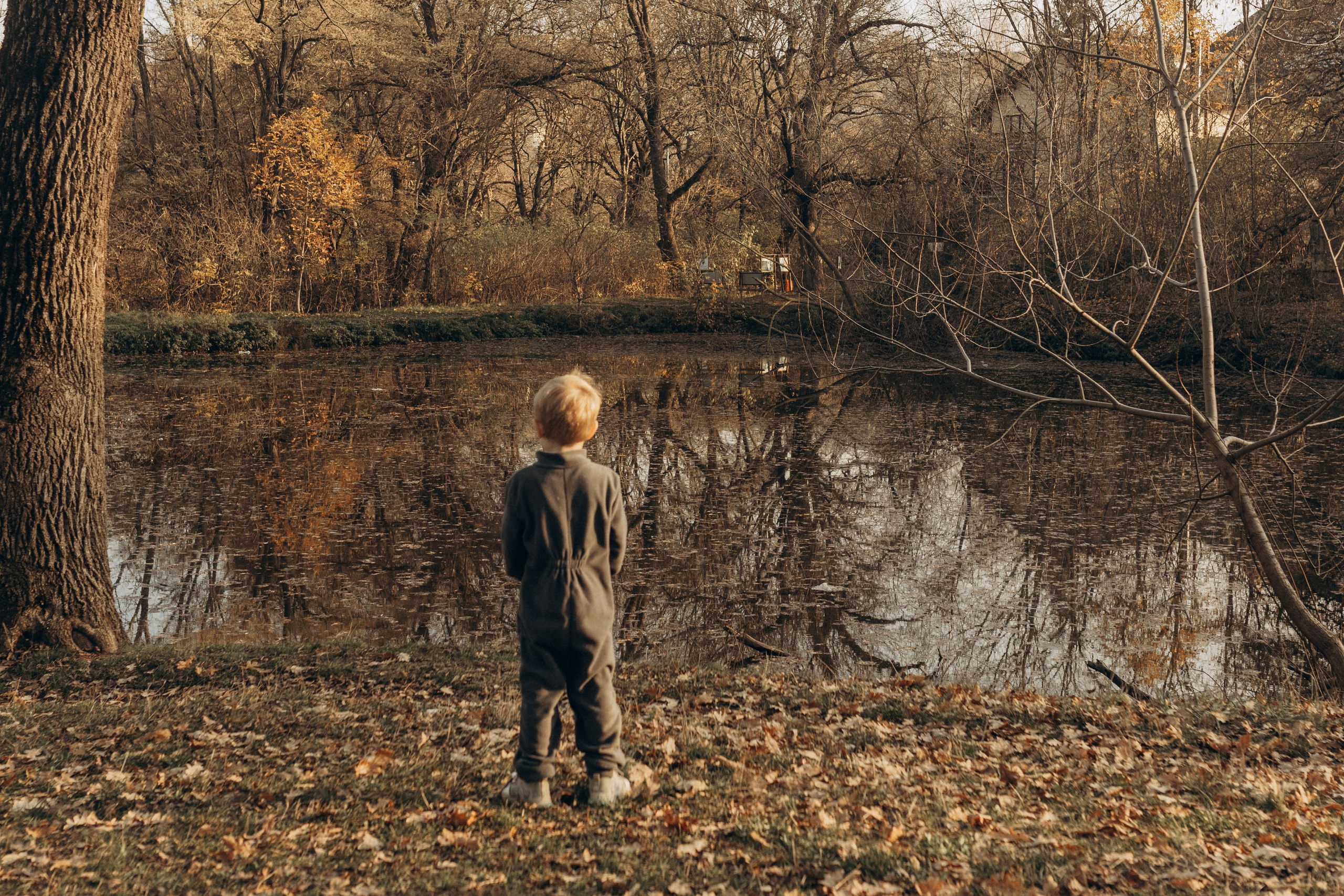 Семейная осенняя фотосессия. Фотограф в Ставрополе Svetlana Matveeva
