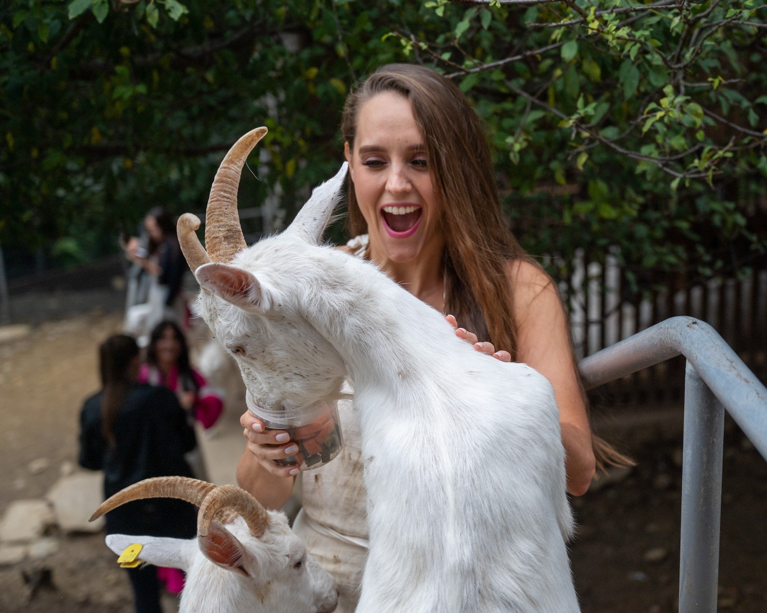 Ферма «ЭКЗАРХО» 03.10.2024 г. Фотографирую счастливых людей в Сочи