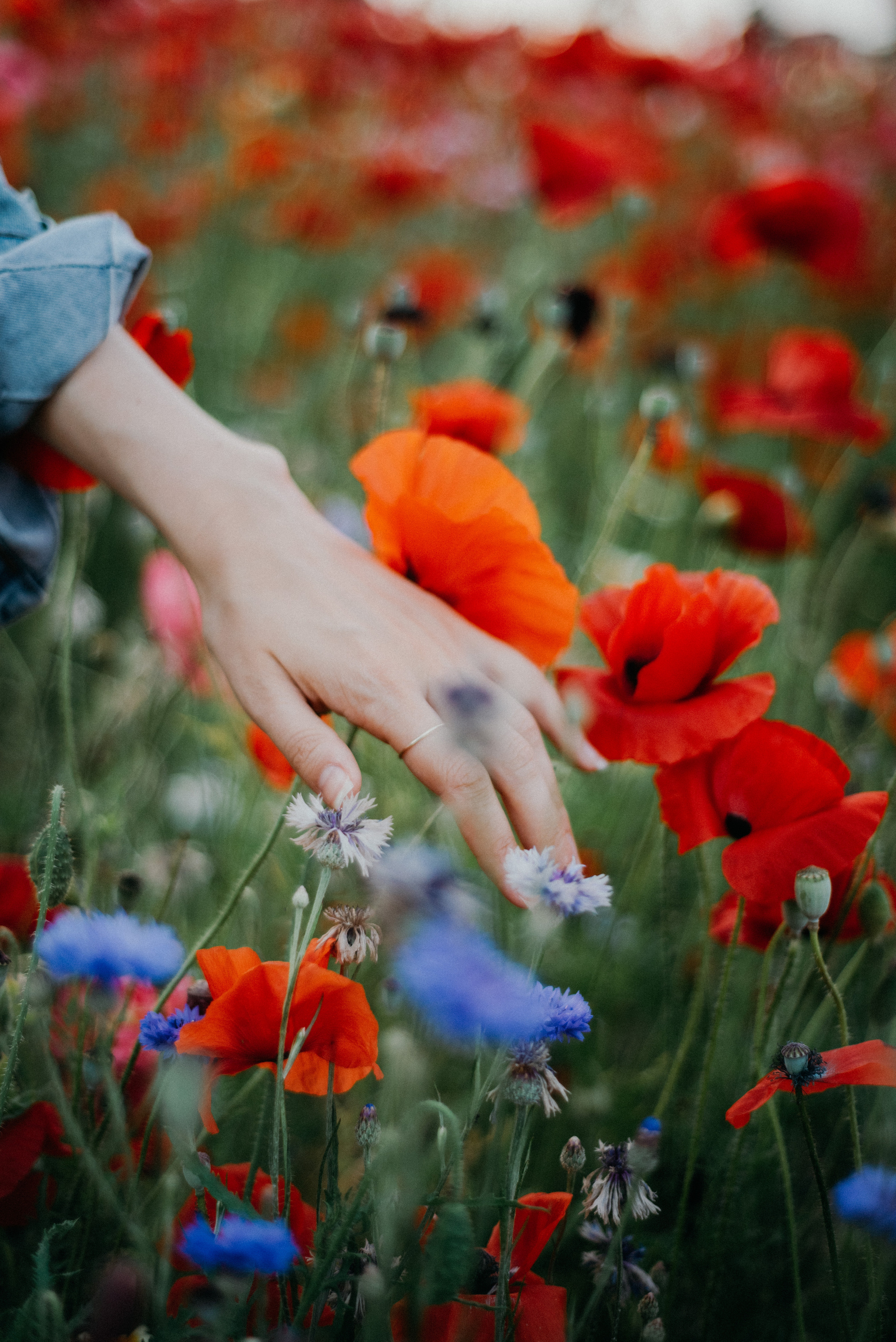 Natalia in Milano. Photographer Vasilisa Gordeeva