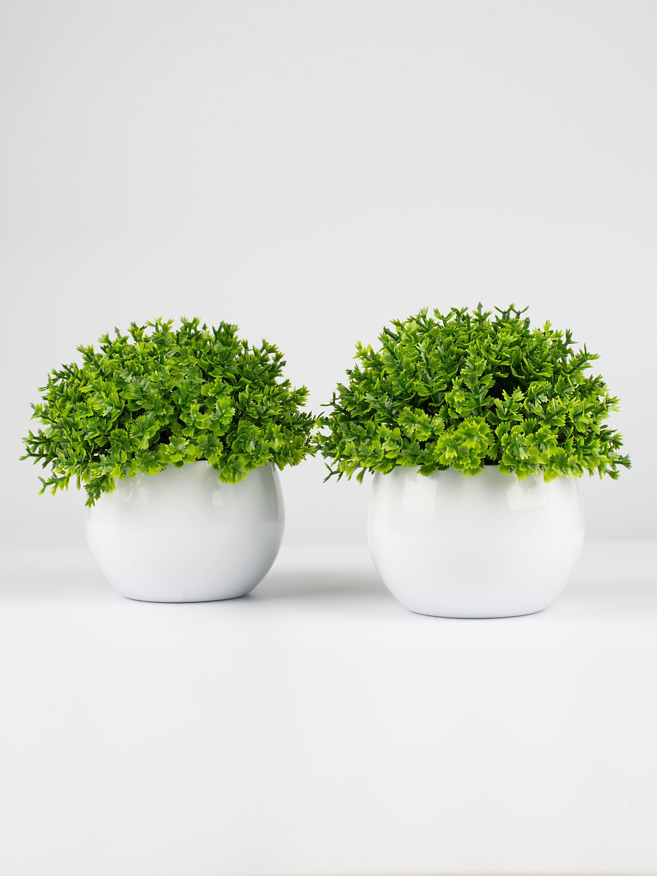 MaraClub Foto предметное фото для сайта и маркетплейсов в Москве и области