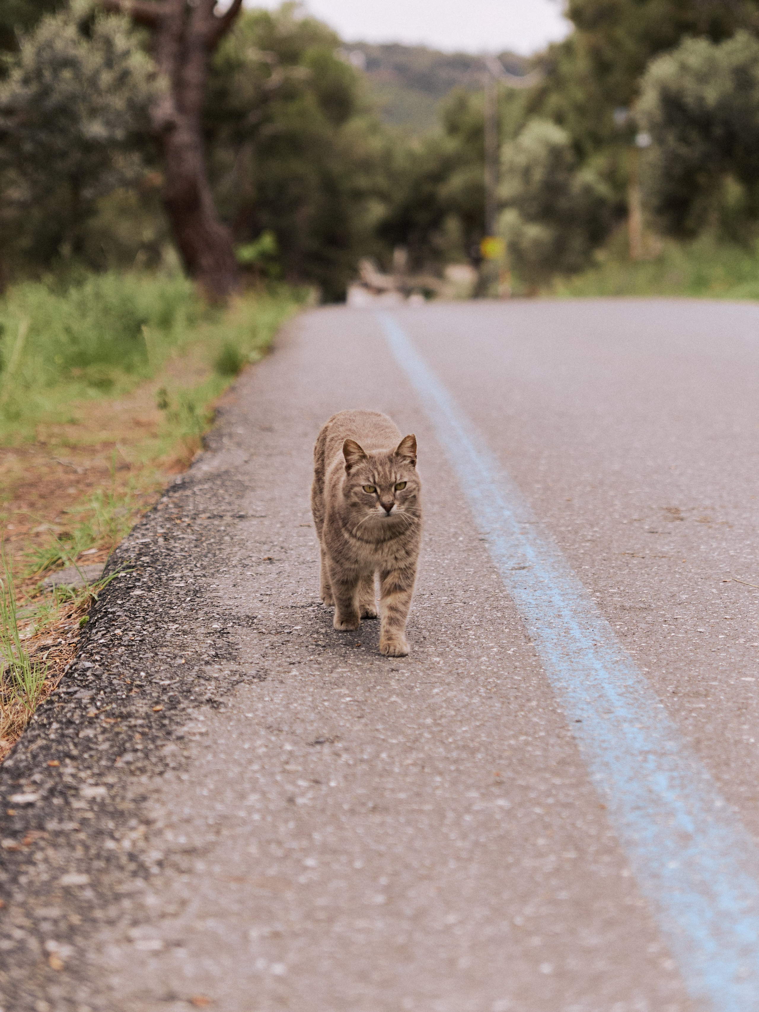 Другое 2. Jorgis Talè — photographer, kind person, teacher of arts and other mag