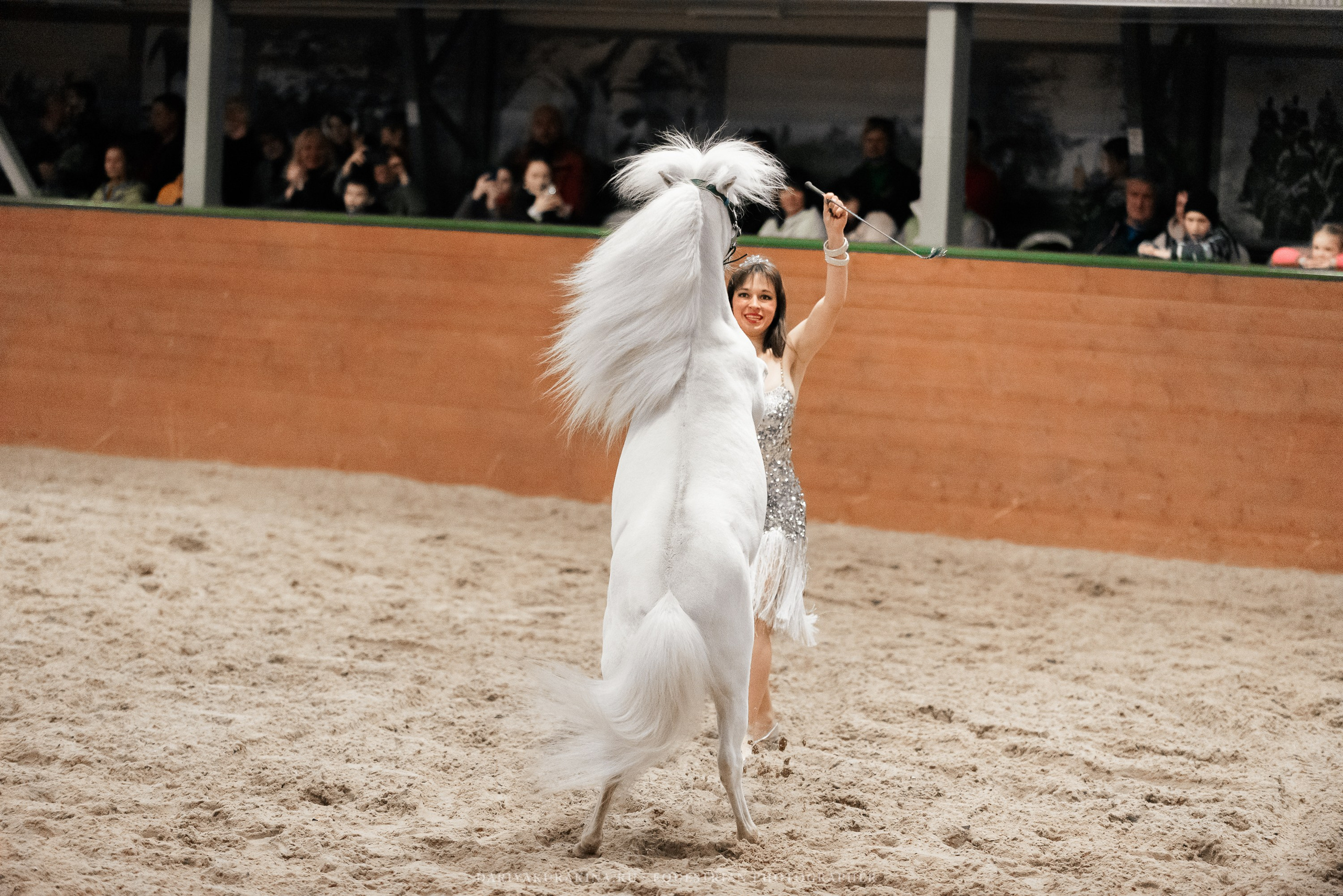 Конное представление «Дыхание Звёзд». Конный фотограф Куракина Дарья • Фотосессии с лошадьми