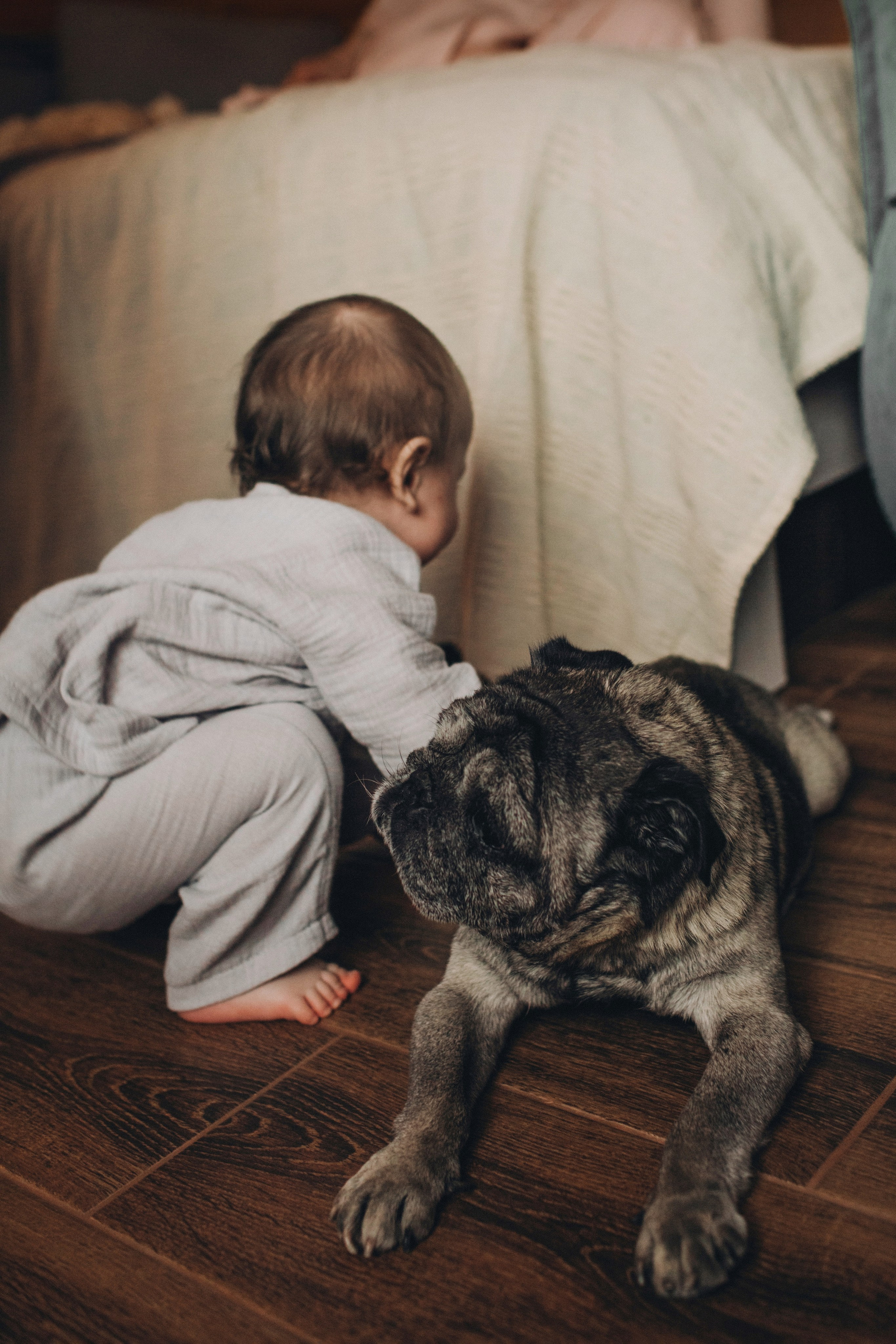 Дима, Леша, Ирина, Роман. Семейный фотограф Томск