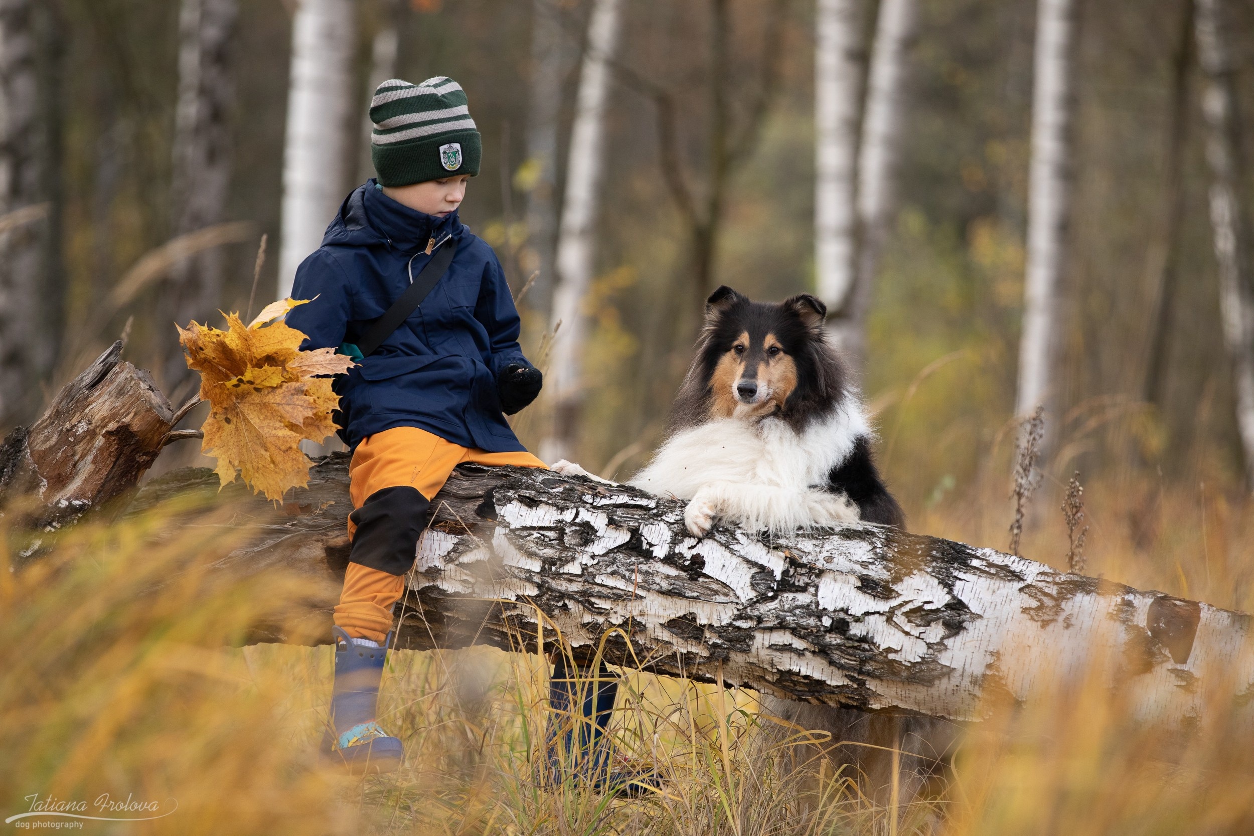 Осенняя фотосессия с собакой в г. Мытищи. Фотограф-анималист в Москве и Московской области Татьяна Фролова