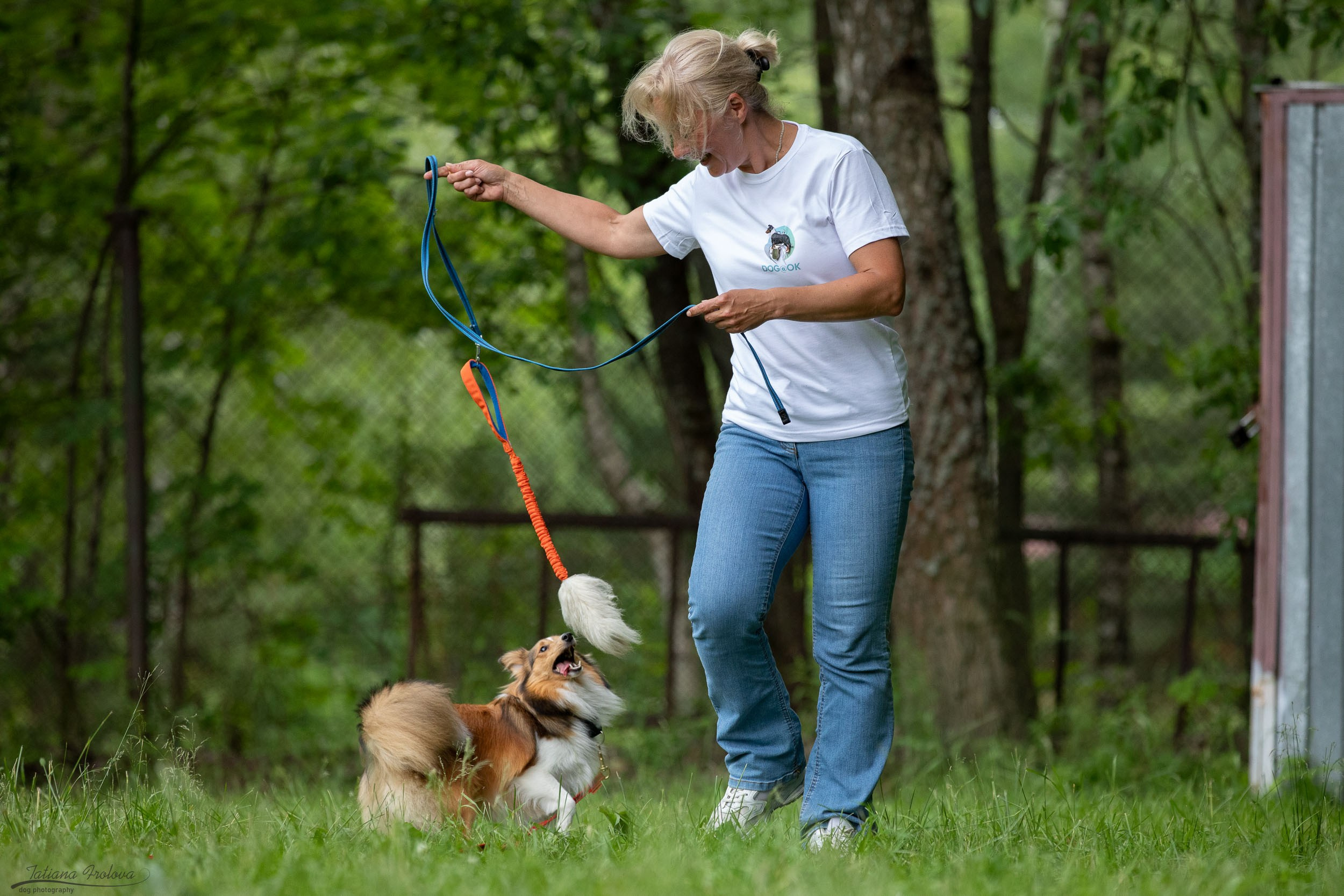 Репортаж с выводки молодняка колли/шелти в Ясенево. Фотограф-анималист в Москве и Московской области Татьяна Фролова