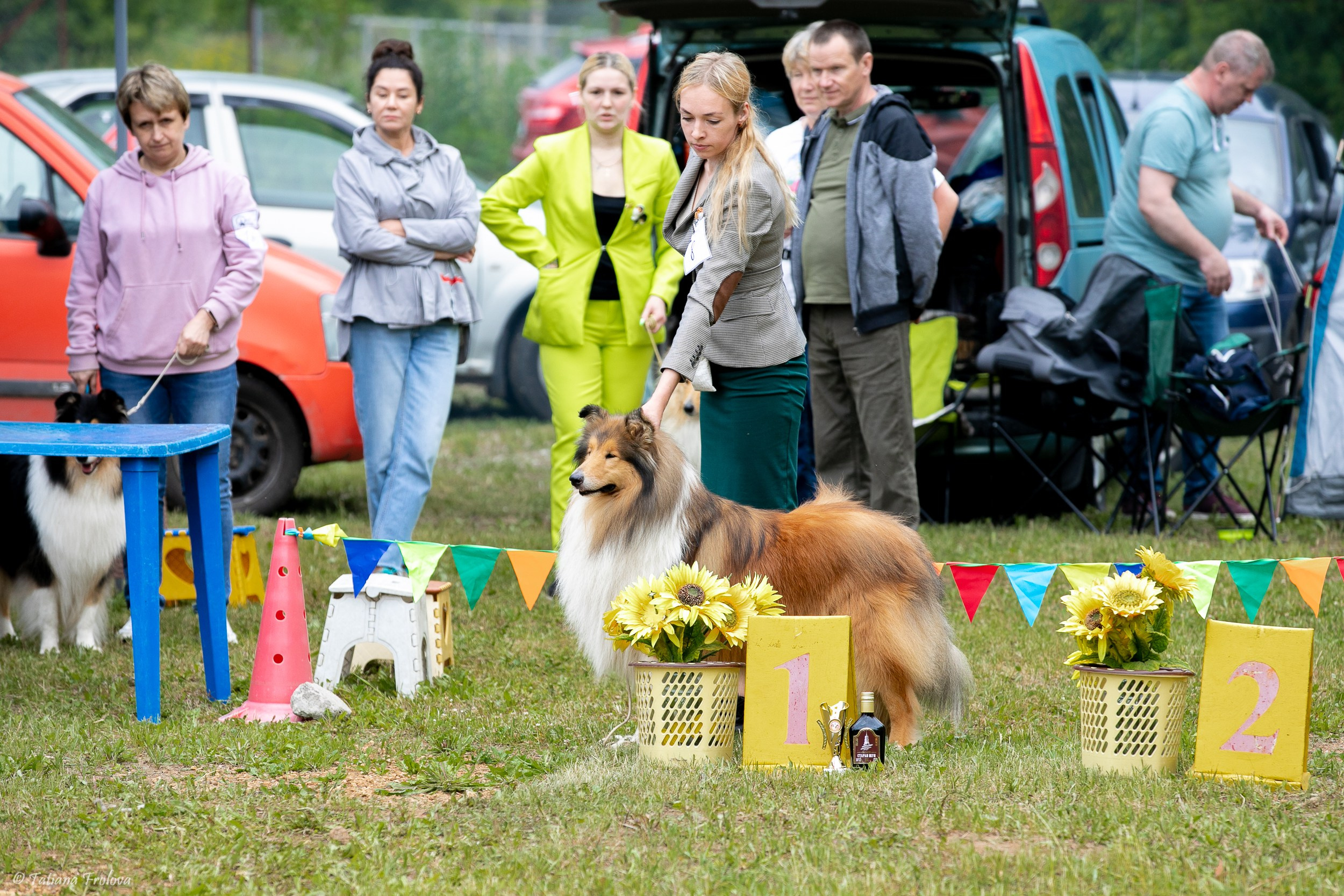 Фотосопровождение выставки собак в Московской области и Москве. Фотограф-анималист в Москве и Московской области Татьяна Фролова