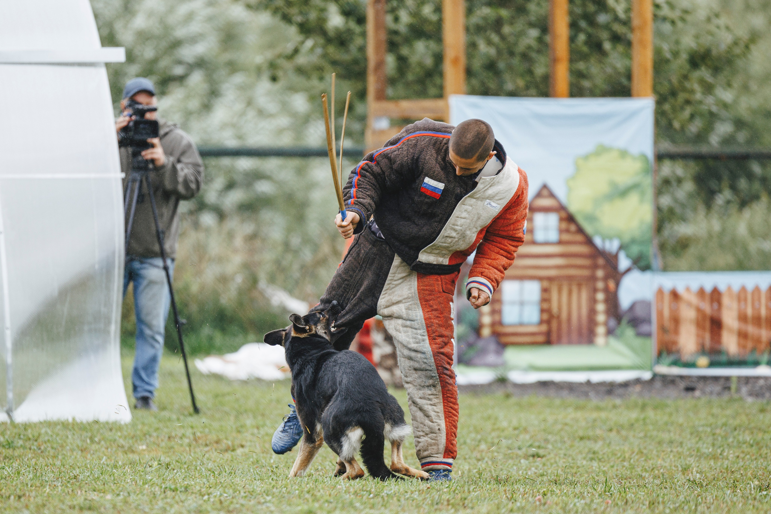 08.08.25-10.08.25 ЧР по мондьорингу г. Вологда. Фотограф-анималист Анна Маринич