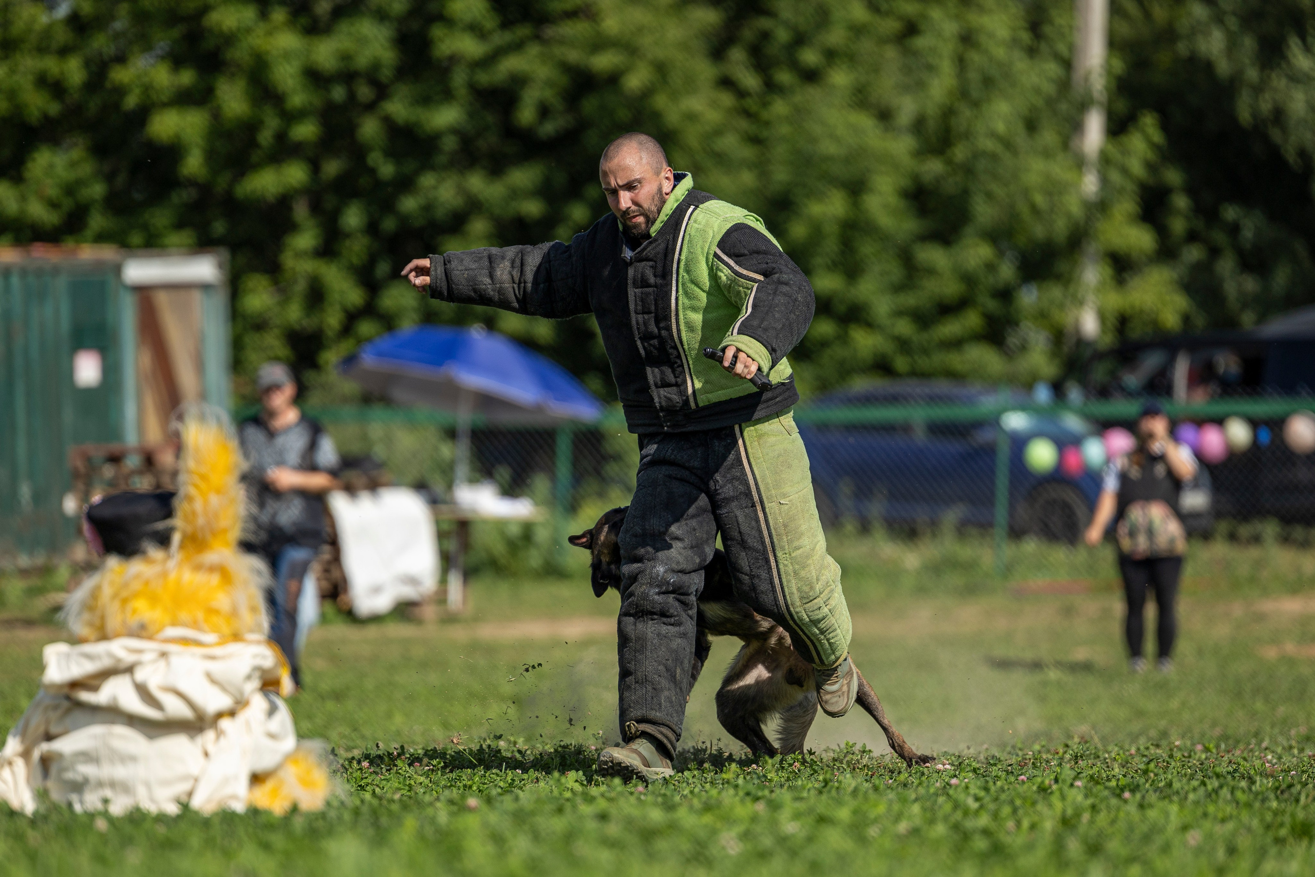 Соревнования по Мондьорингу г. Вологда 10-11.08.2024. Фотограф-анималист Анна Маринич