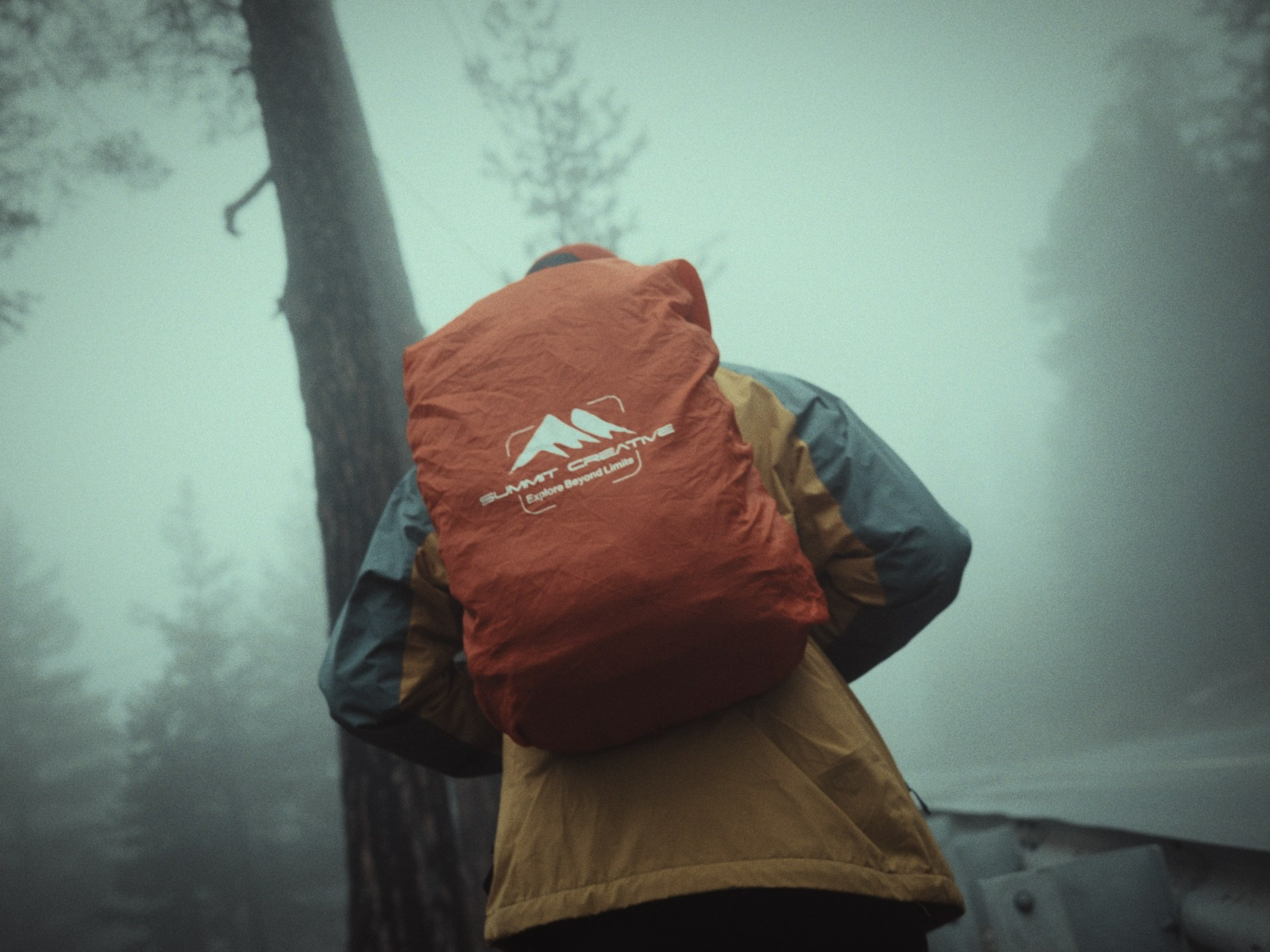 LUT SONY SLOG3. Видеооператор, Видеограф в Москве, Видео монтаж