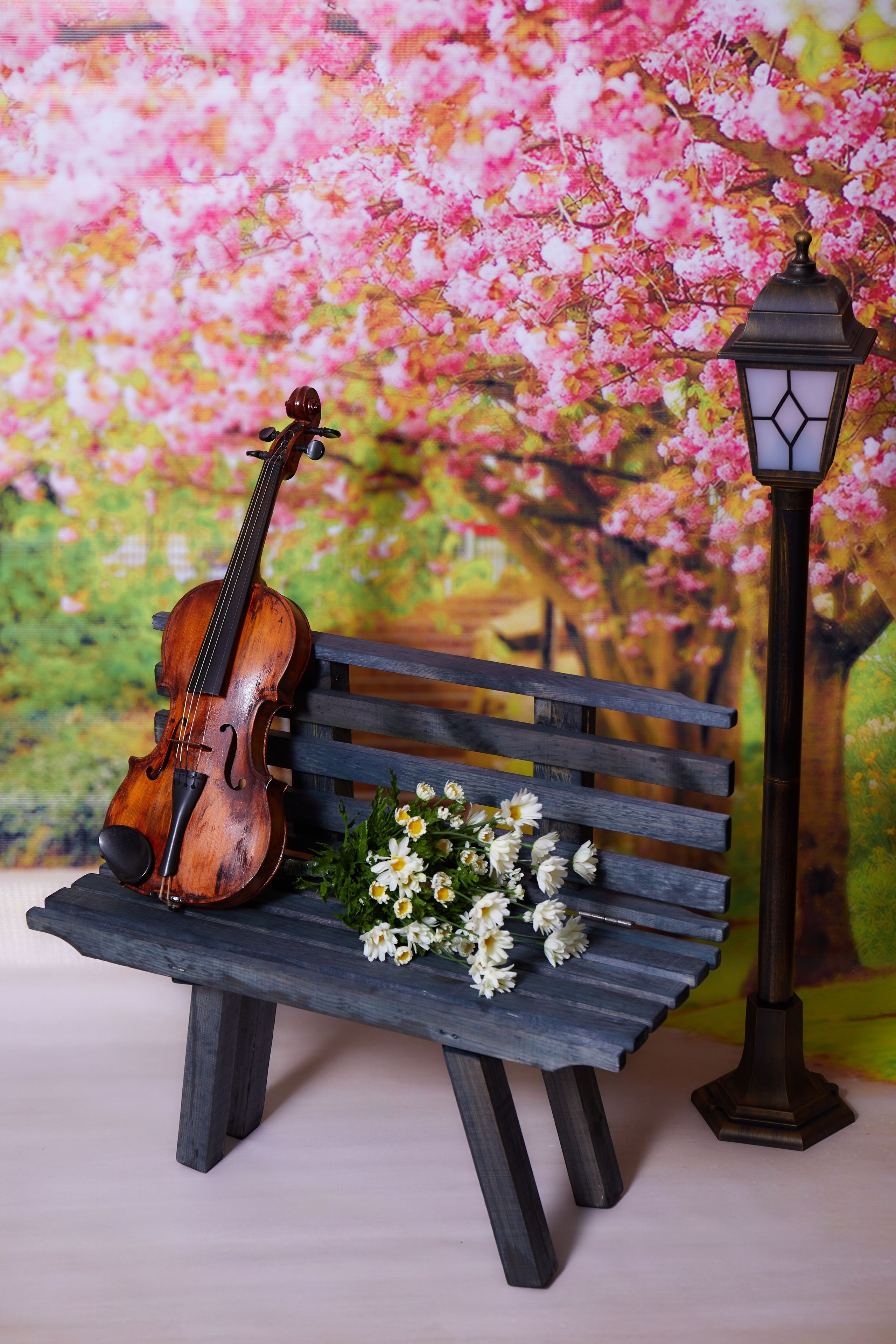 Со скрипкой. Детская выездная фотостудия