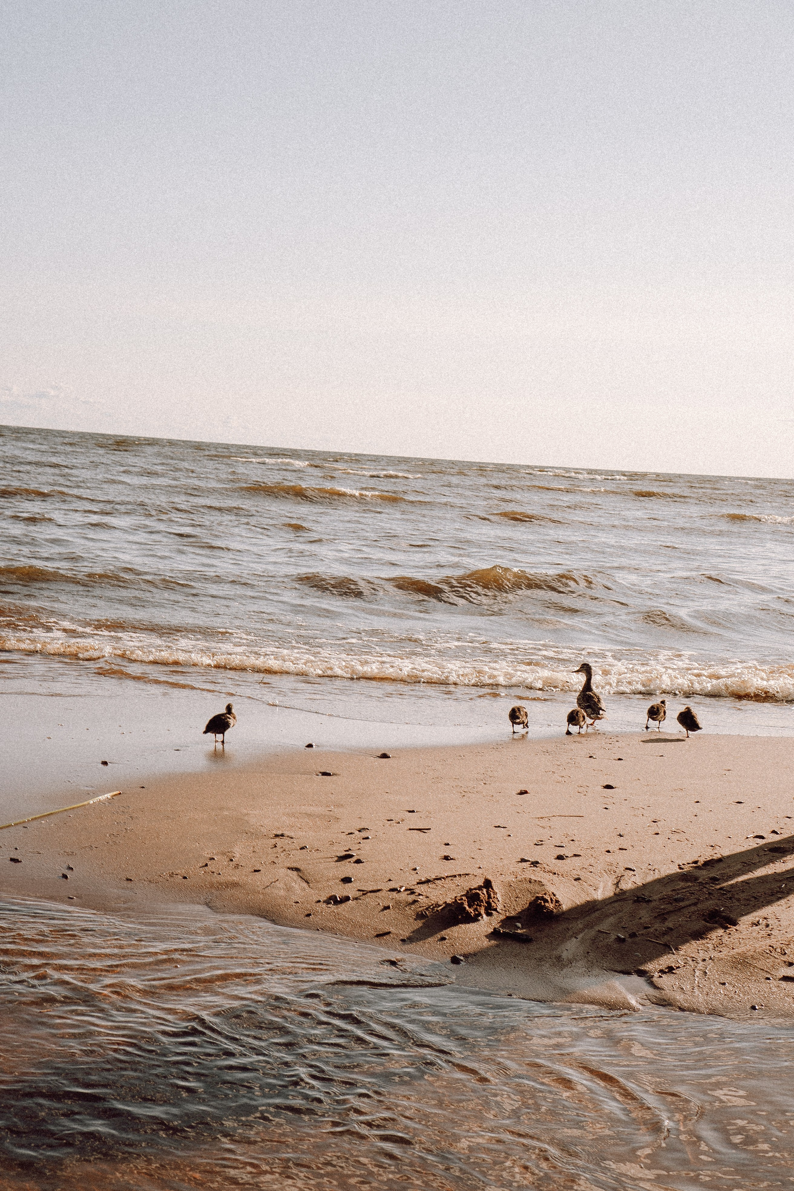 РОМАНТИКА ФИНСКОГО ЗАЛИВА. Профессиональный фотограф, Санкт-Петербург — Виктория Богомолова