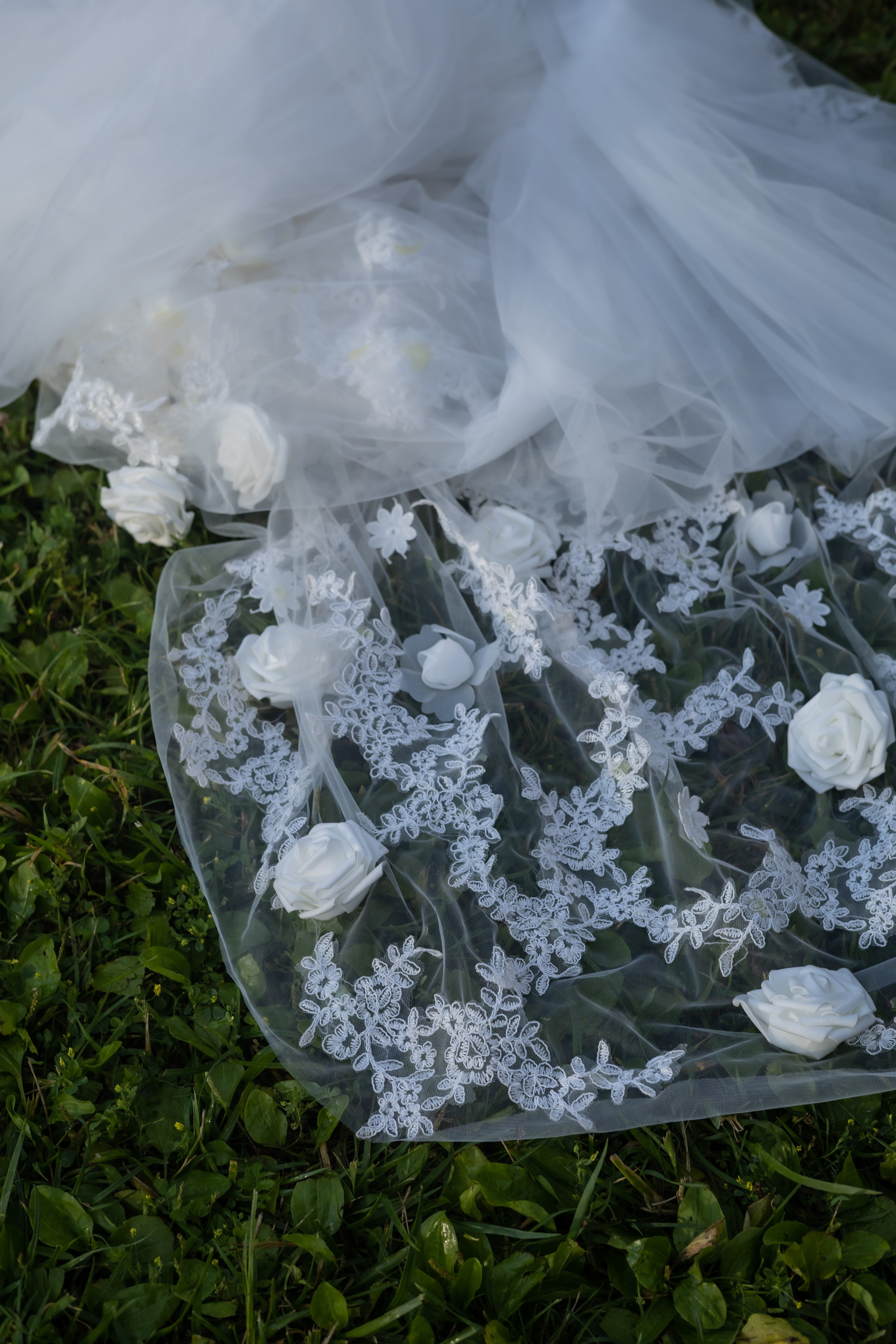 Максим+Анна. Фотограф Элла Ефимова