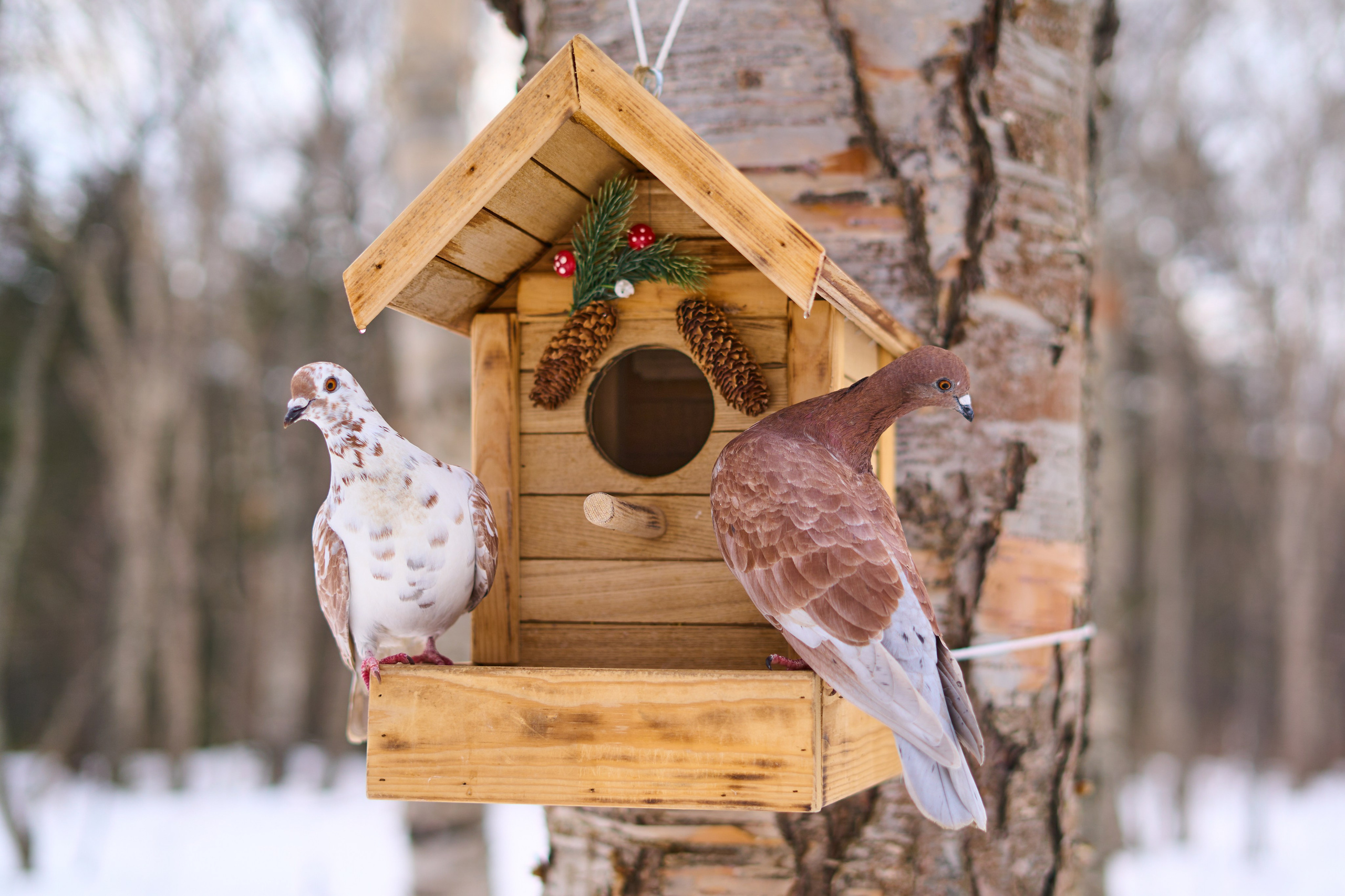 Природа. Фотограф Екатерина Зорина