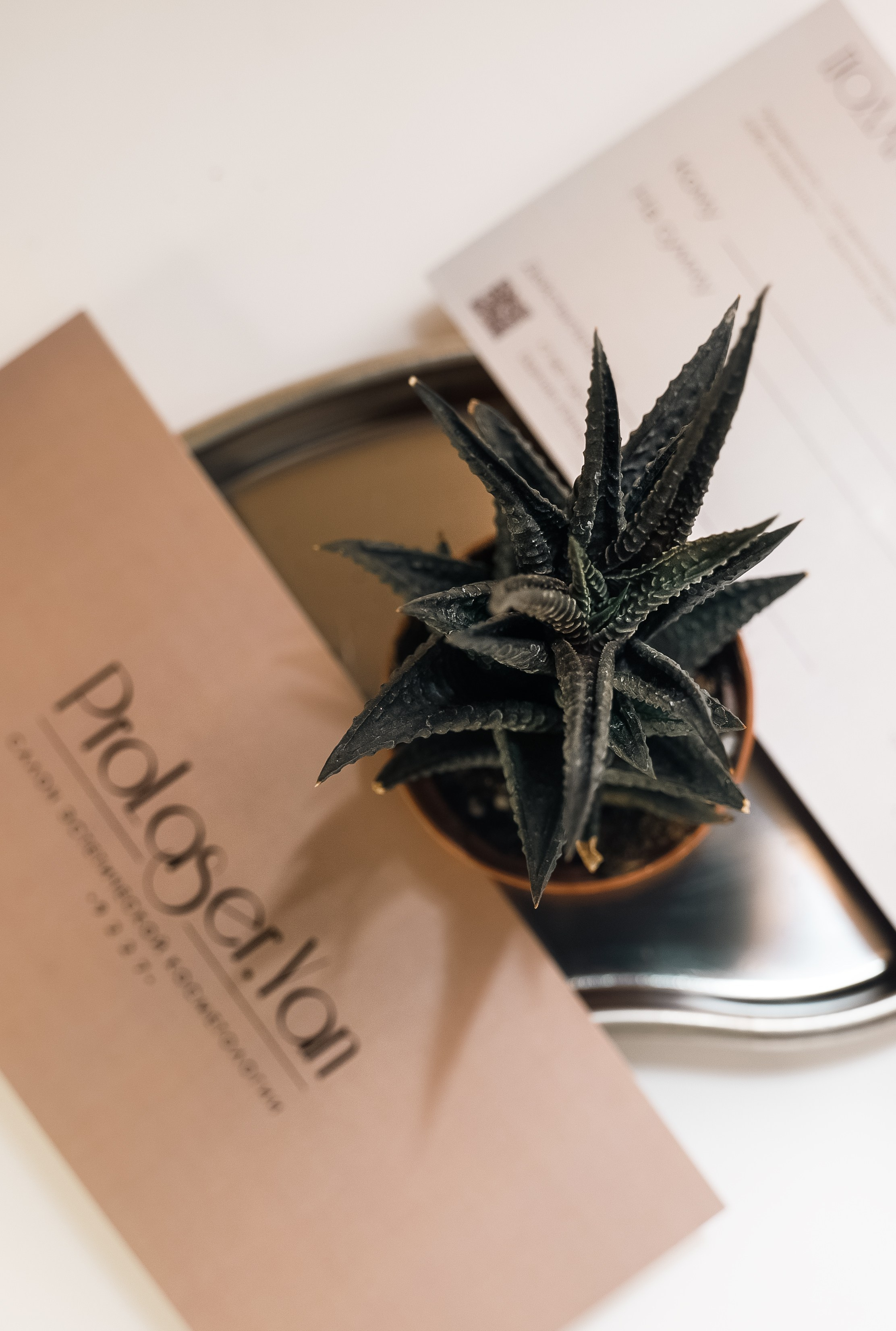 К о с м е т о л о г и я. Контент фотограф в Москве Кулич Настя