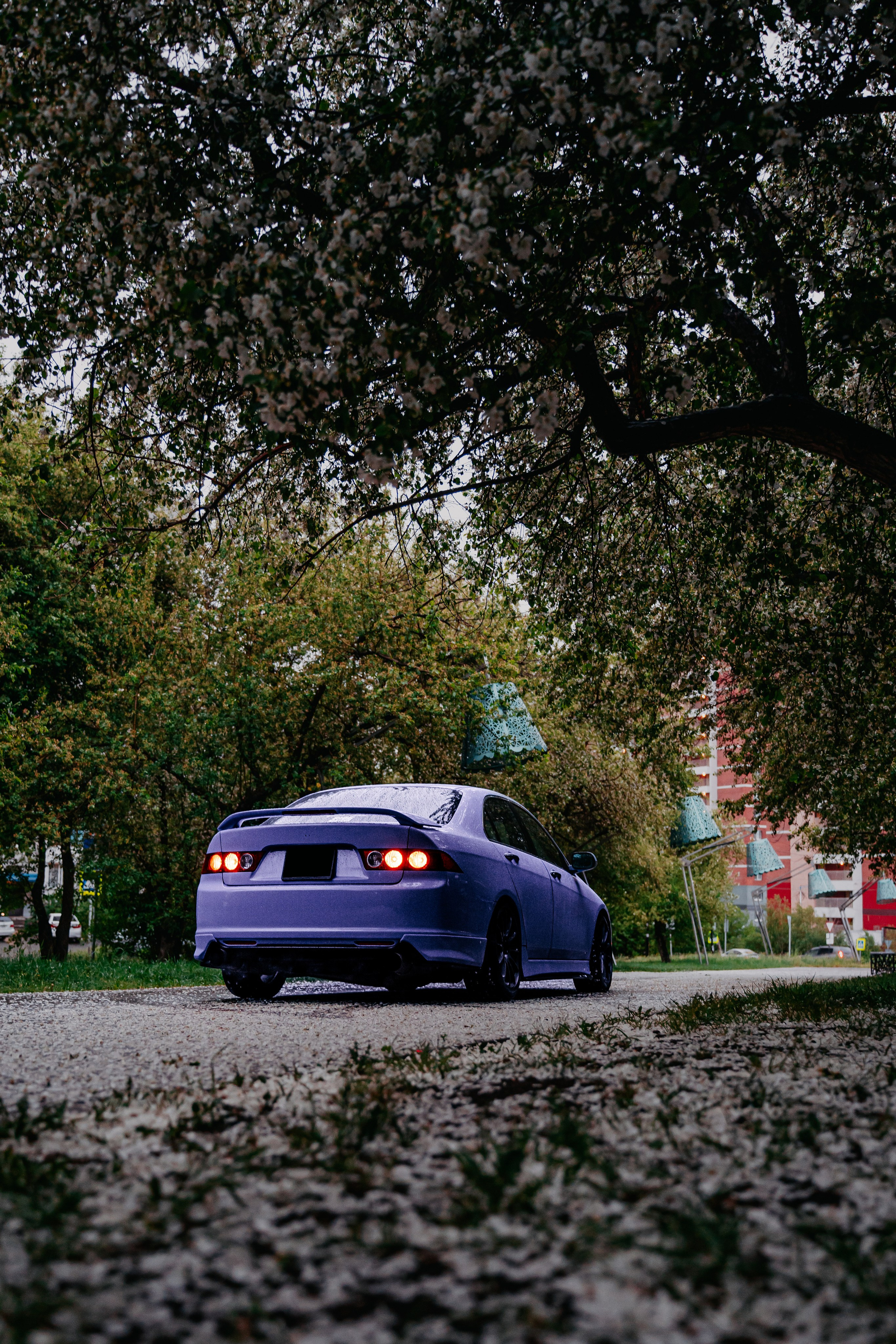 Honda Accord. Фотограф, видеограф и пилот дрона на Байкале