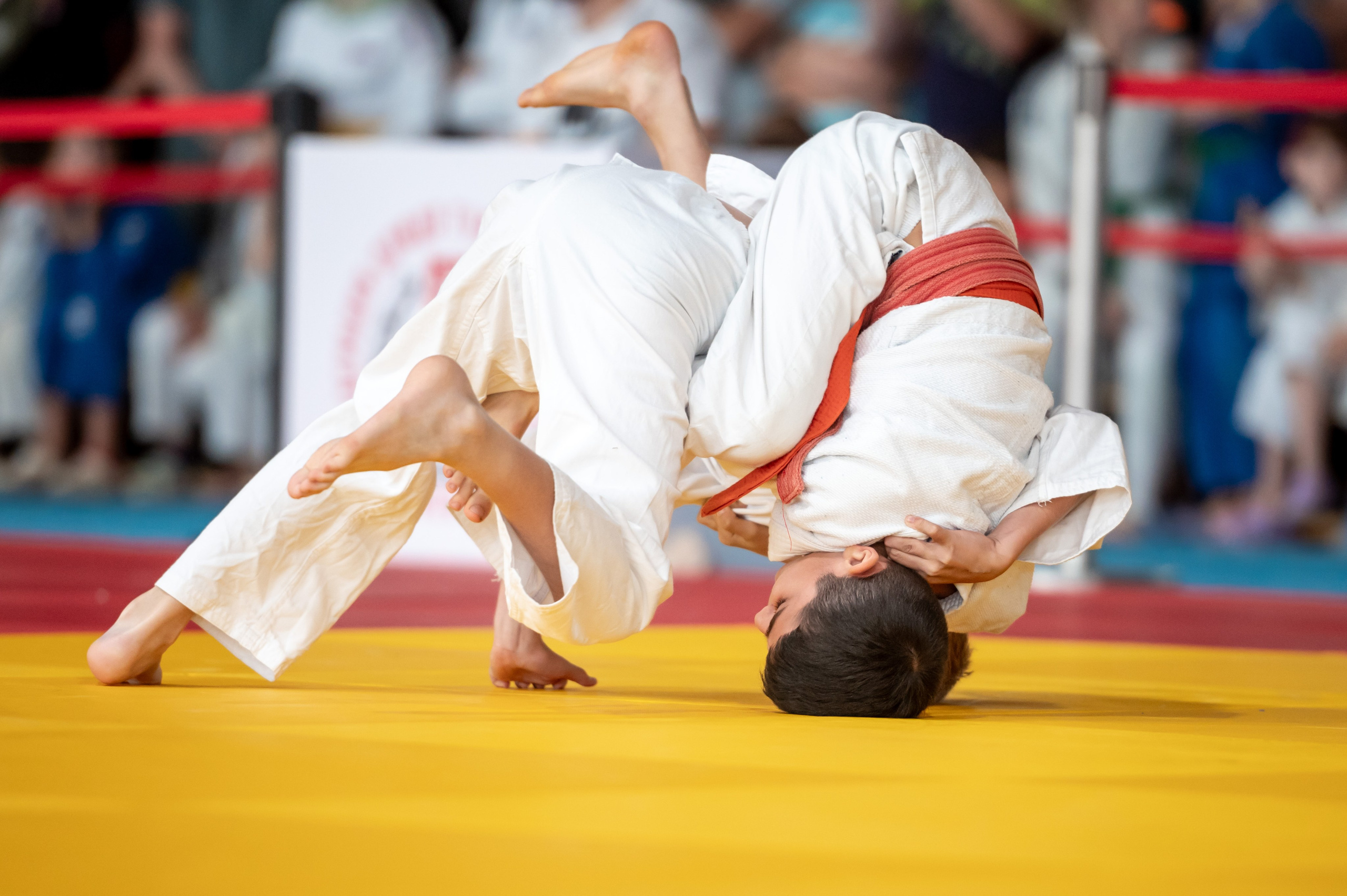 Турнир по дзюдо «Тульский левша», сентябрь 2024. Спортивный фотограф в Туле и Тульской области. Файсханова Фото Спорт