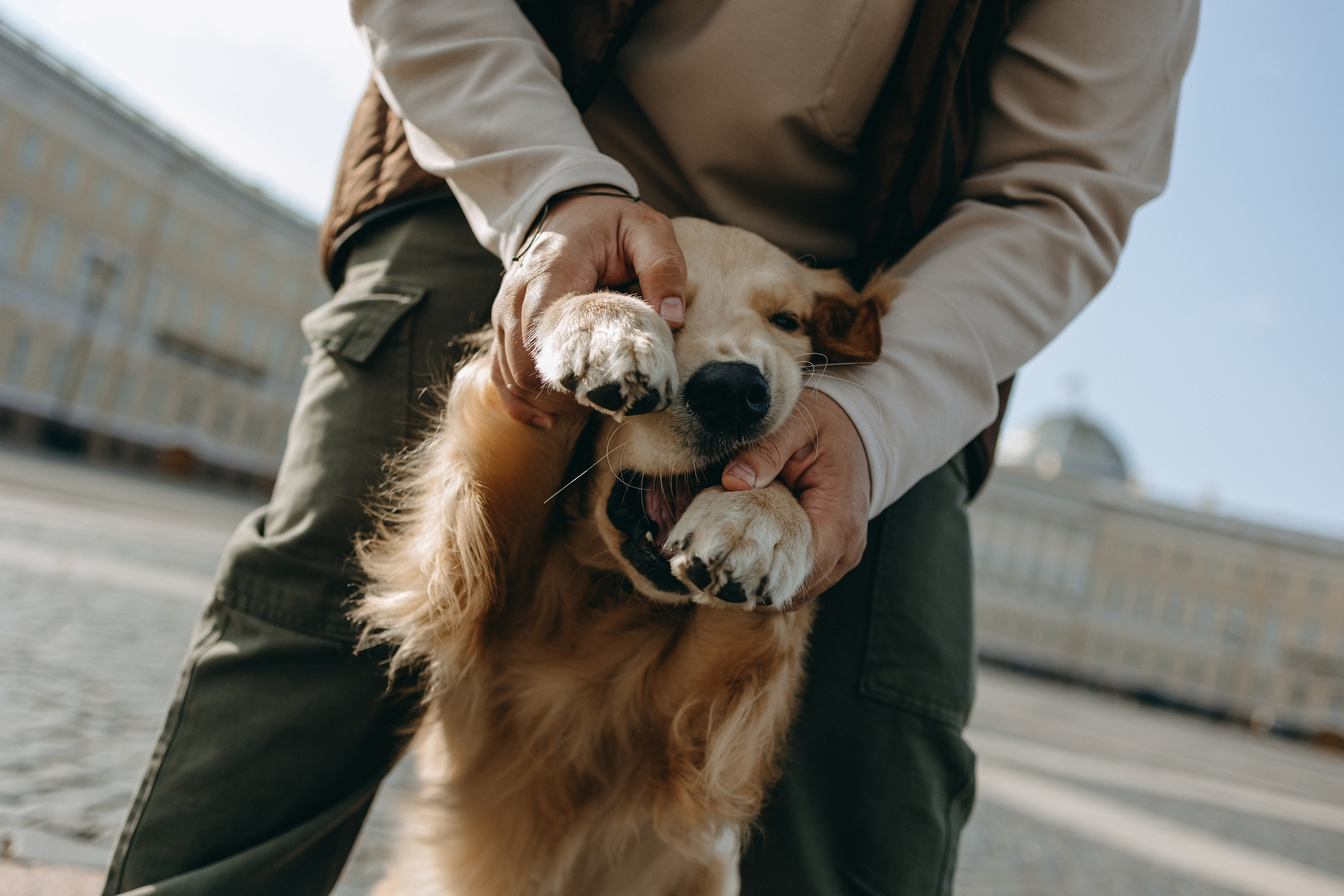 Бетти и ее семья. Фотограф — Анималист | Санкт-Петербург