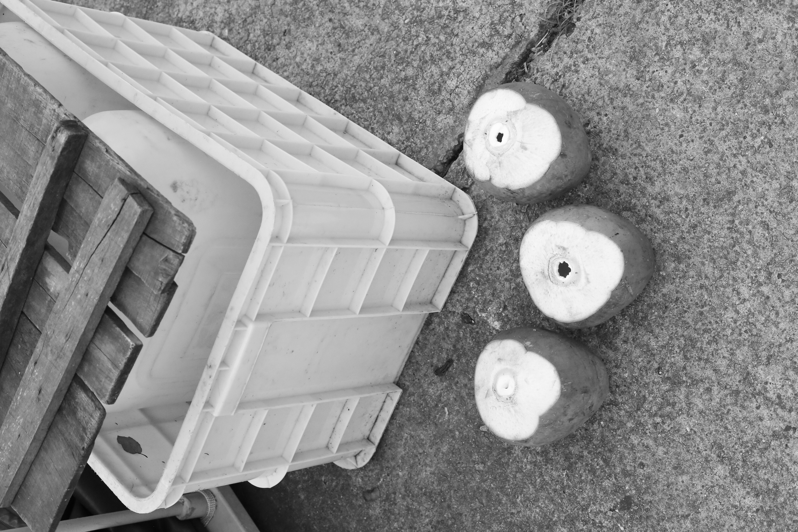 Ho Chi Minh, Vietnam | Part 2| 2025. Art Photographer