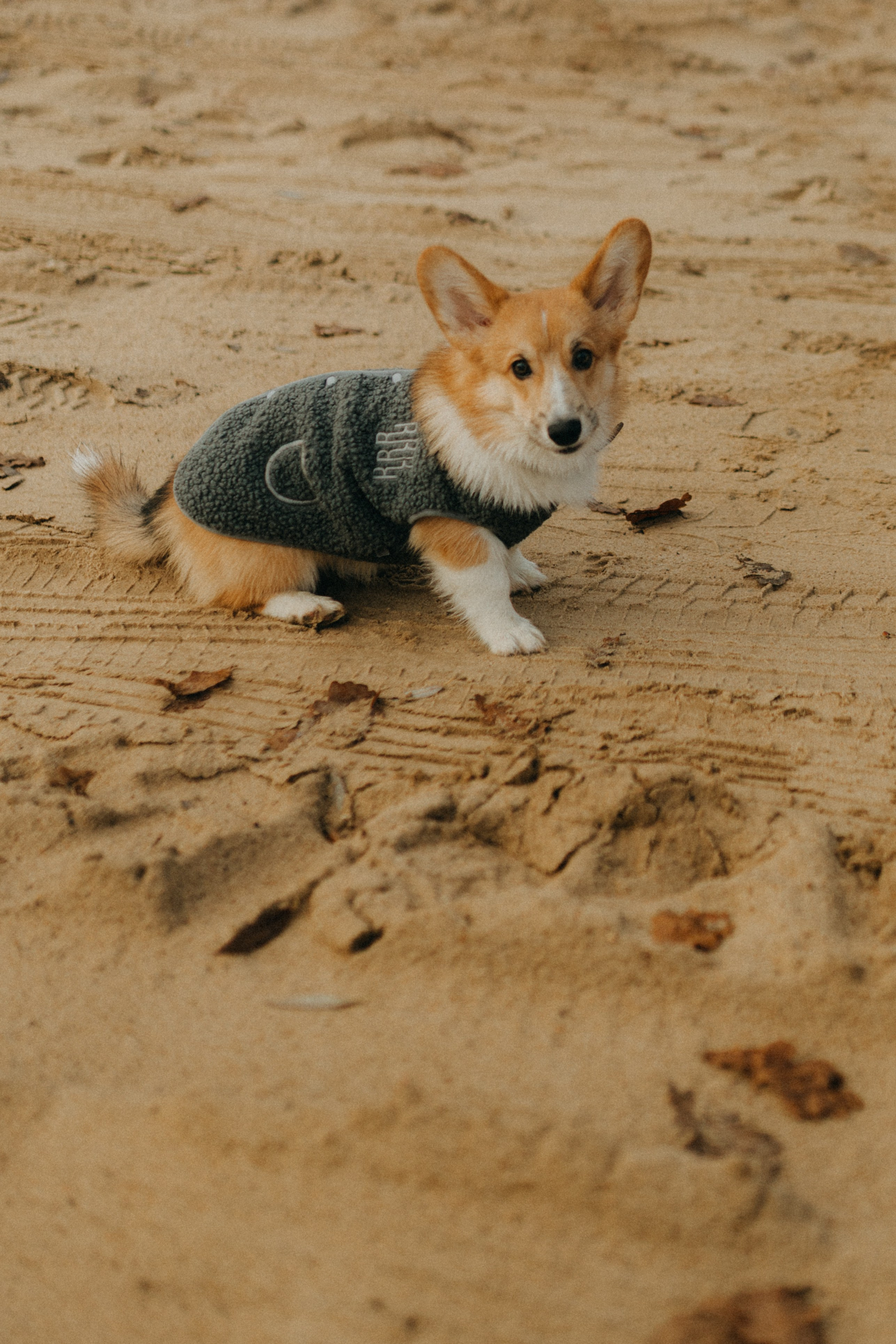 Алина. Фотограф НОГИНСК, Москва, Анастасия Белая