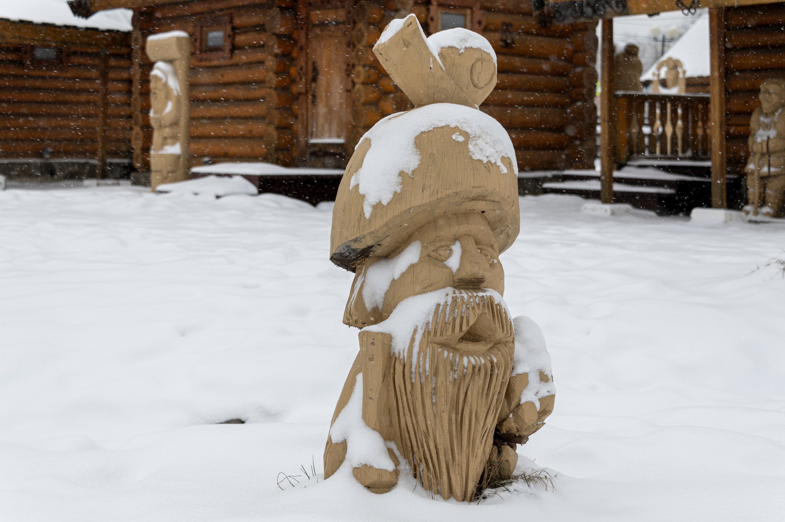 Саранск. Январь 2024. Фотограф Роман Адлер