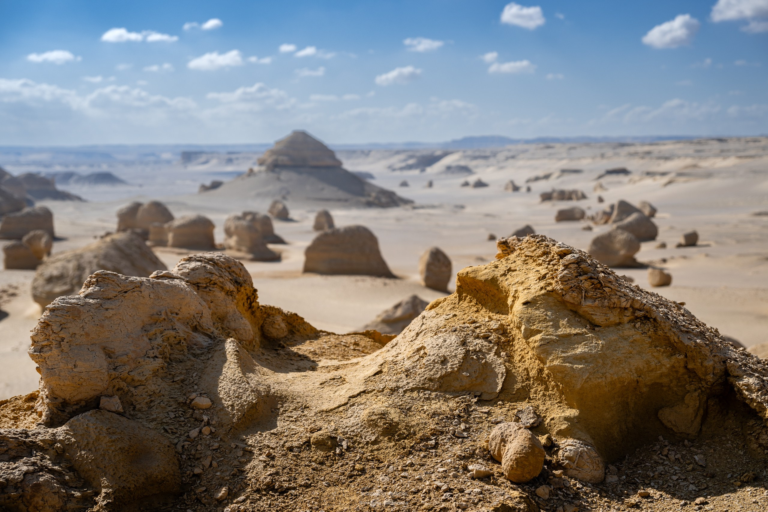 Снова в пустыню, за скелетами…. Авторские стильные фотокартины