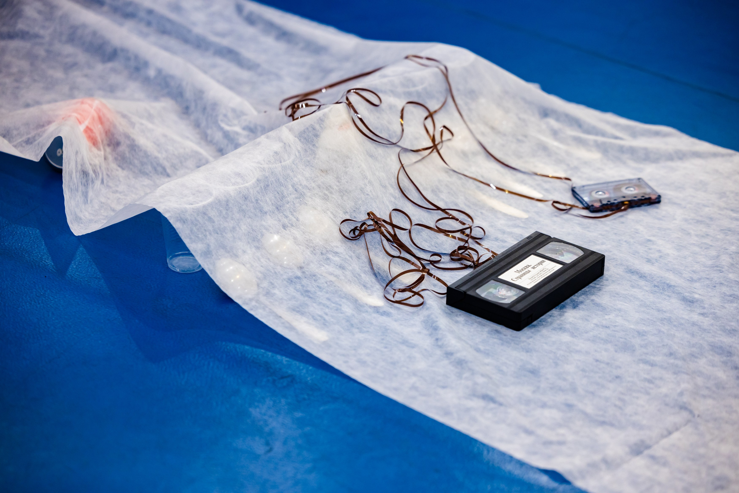 День города в Музее Москвы 2024. Виктория Зудина — фотограф в Москве