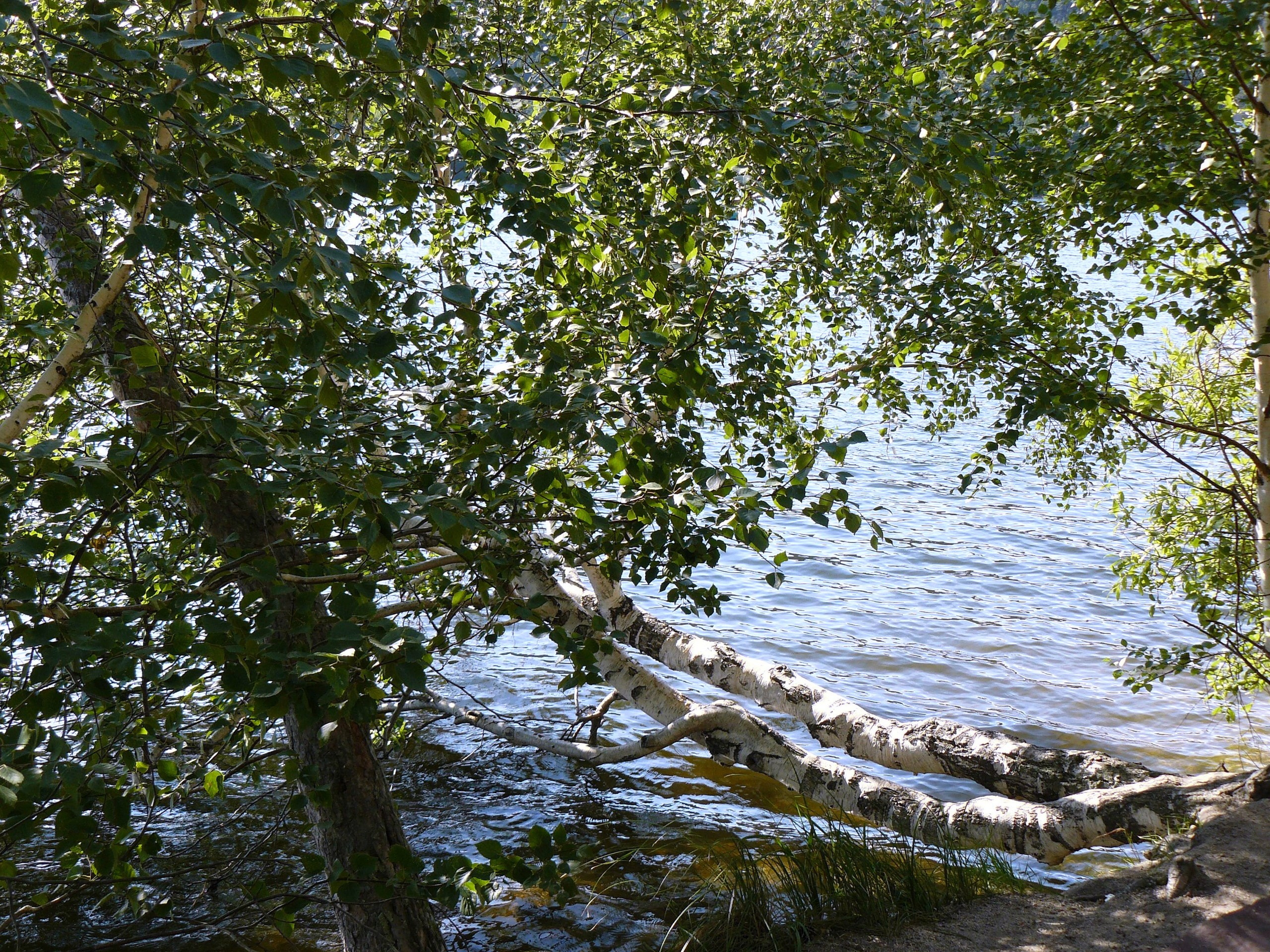 Боровое 2018 (из архива). Избранные фотографии