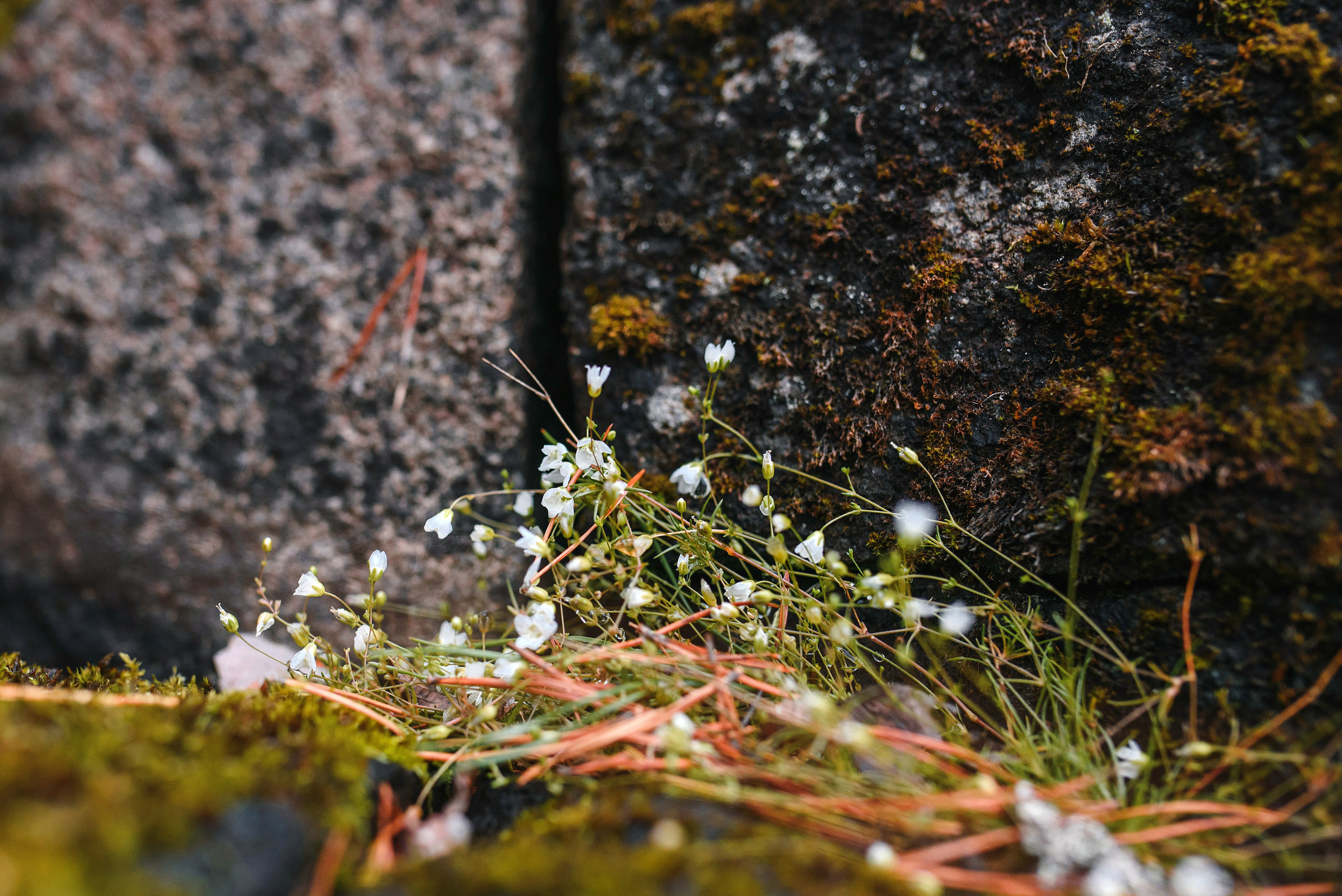 Имидж-тур ВодоходЪ. Репортажный фотограф Минина Ирина