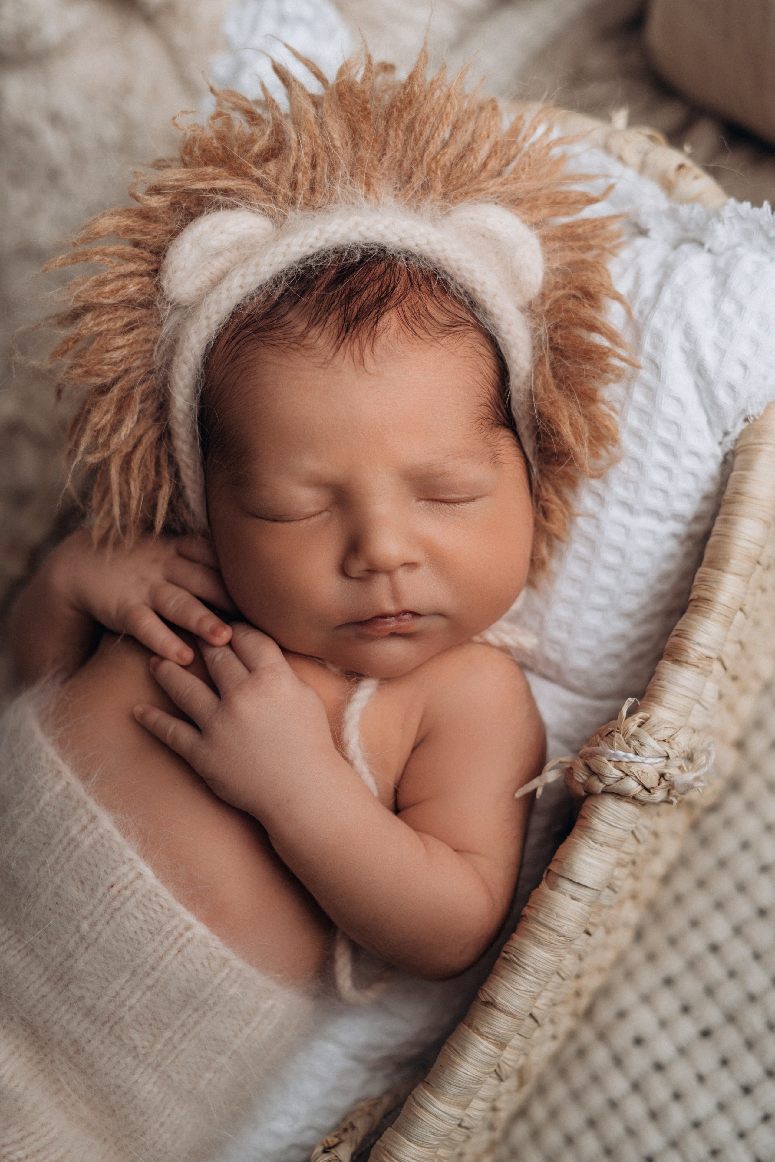 Лев. Фотограф новорожденных и малышей до года в Москве Анастасия Соколова