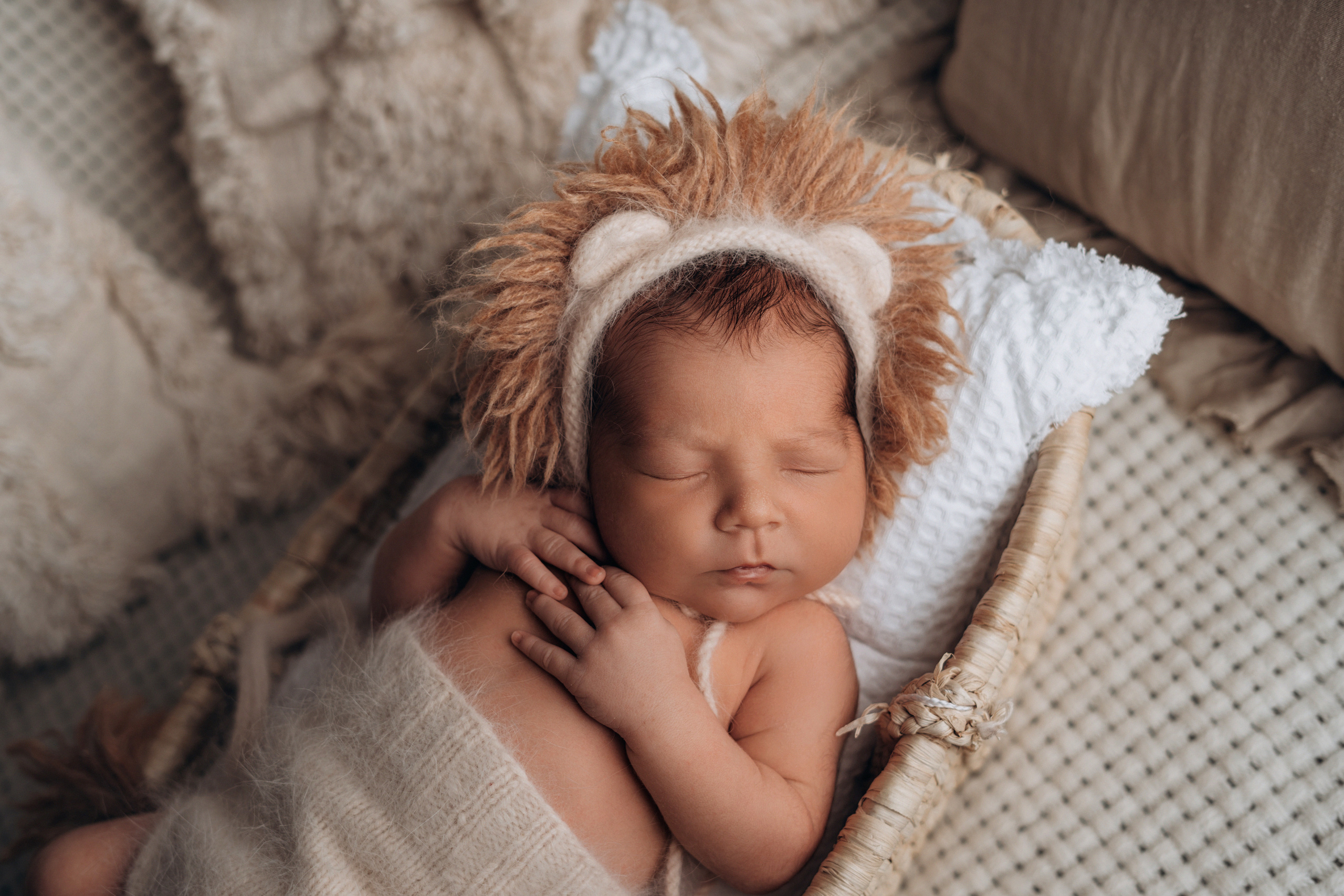 Лев. Фотограф новорожденных и малышей до года в Москве Анастасия Соколова