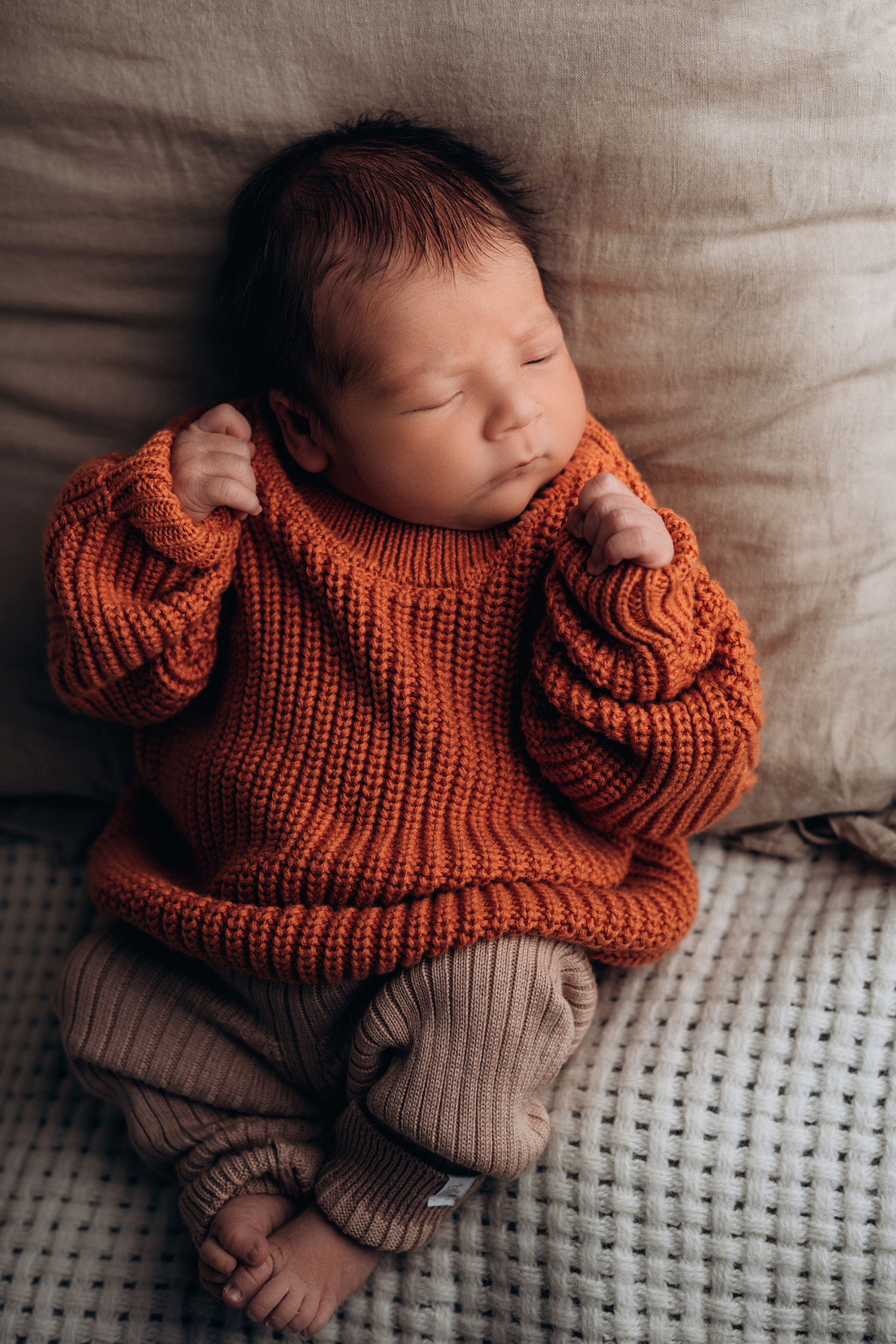 Лев. Фотограф новорожденных и малышей до года в Москве Анастасия Соколова