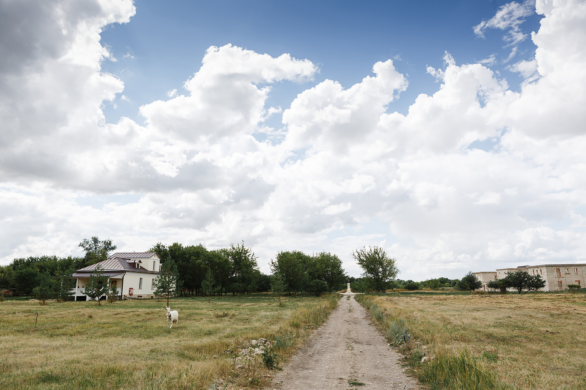 Артём и Виктория. Фотограф Макс Носков