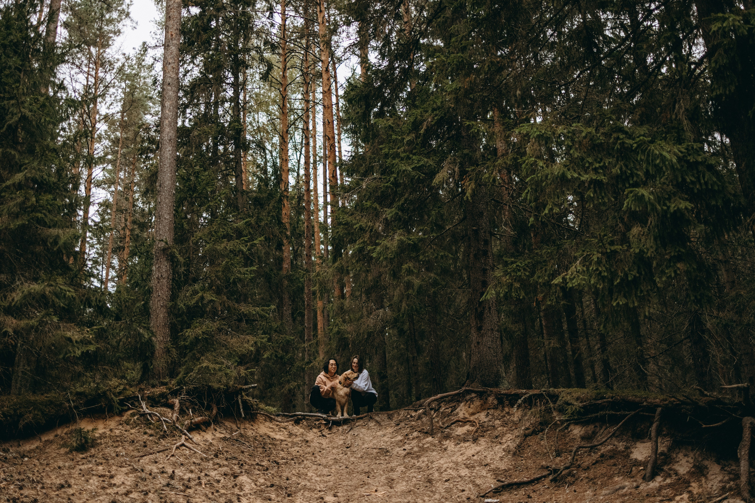 Фоси и его семьи. Фотограф — Анималист | Санкт-Петербург