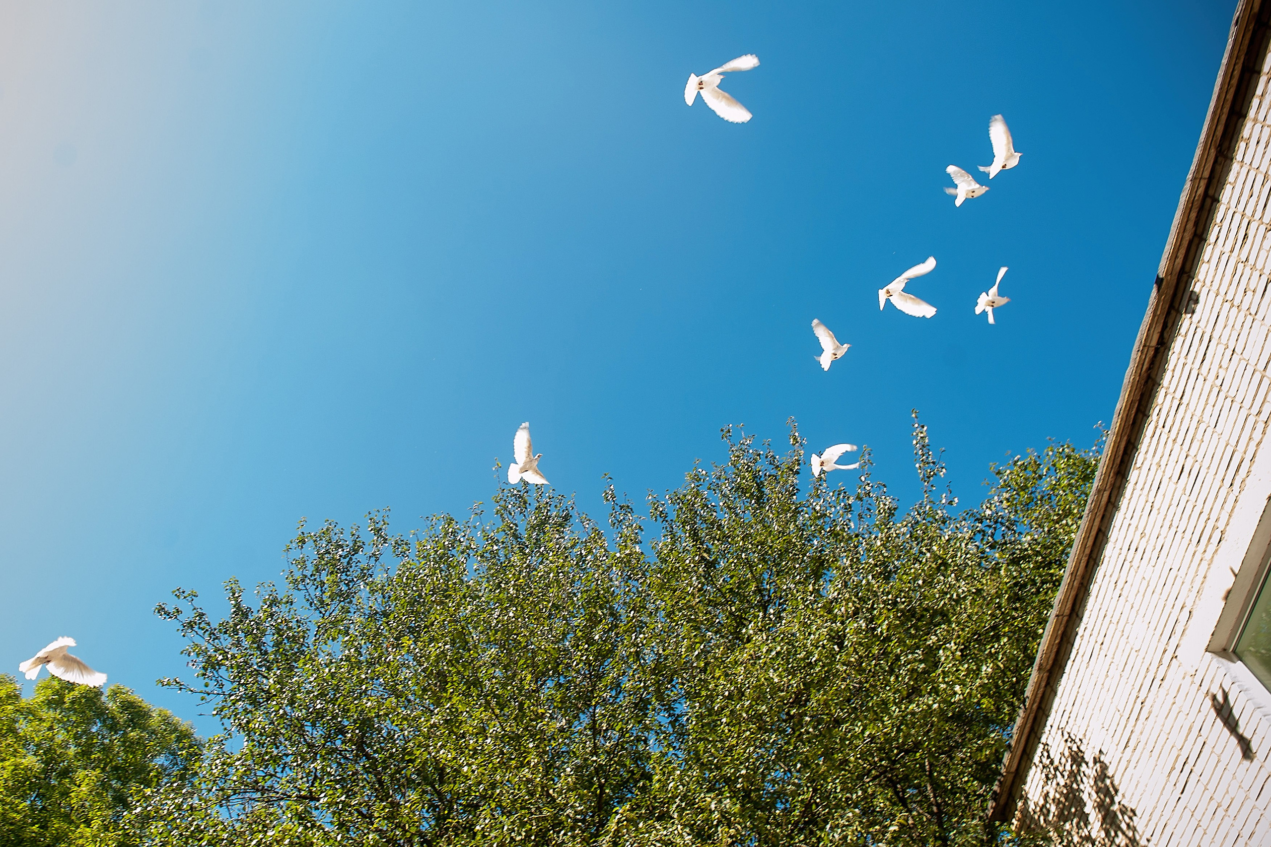 ШКОЛЬНЫЕ РЕПОРТАЖИ. Фотограф Вера Демидкова