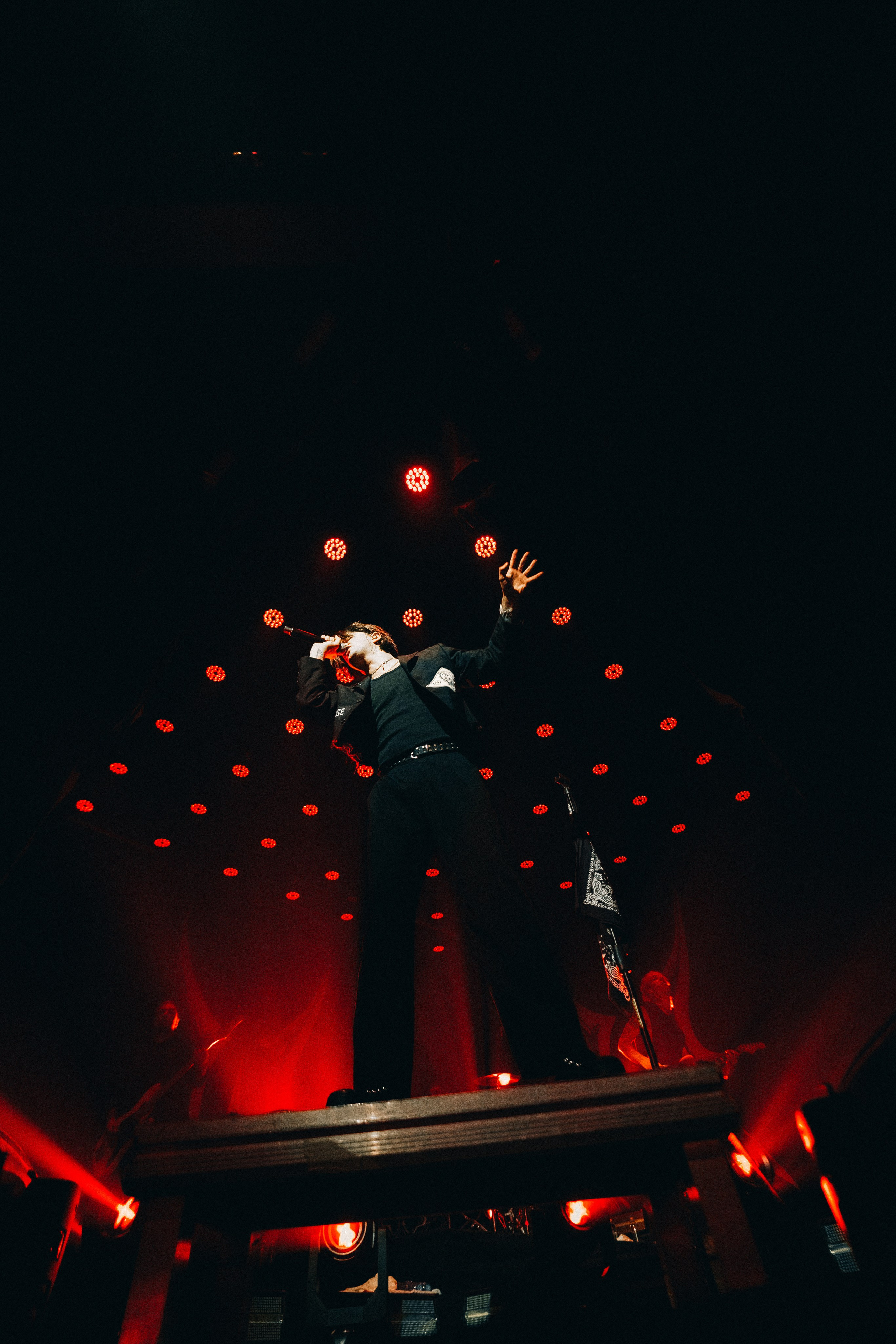 WILDWAYS. PASHAHARCE PHOTOGRAPHER & VIDEOGRAPHER