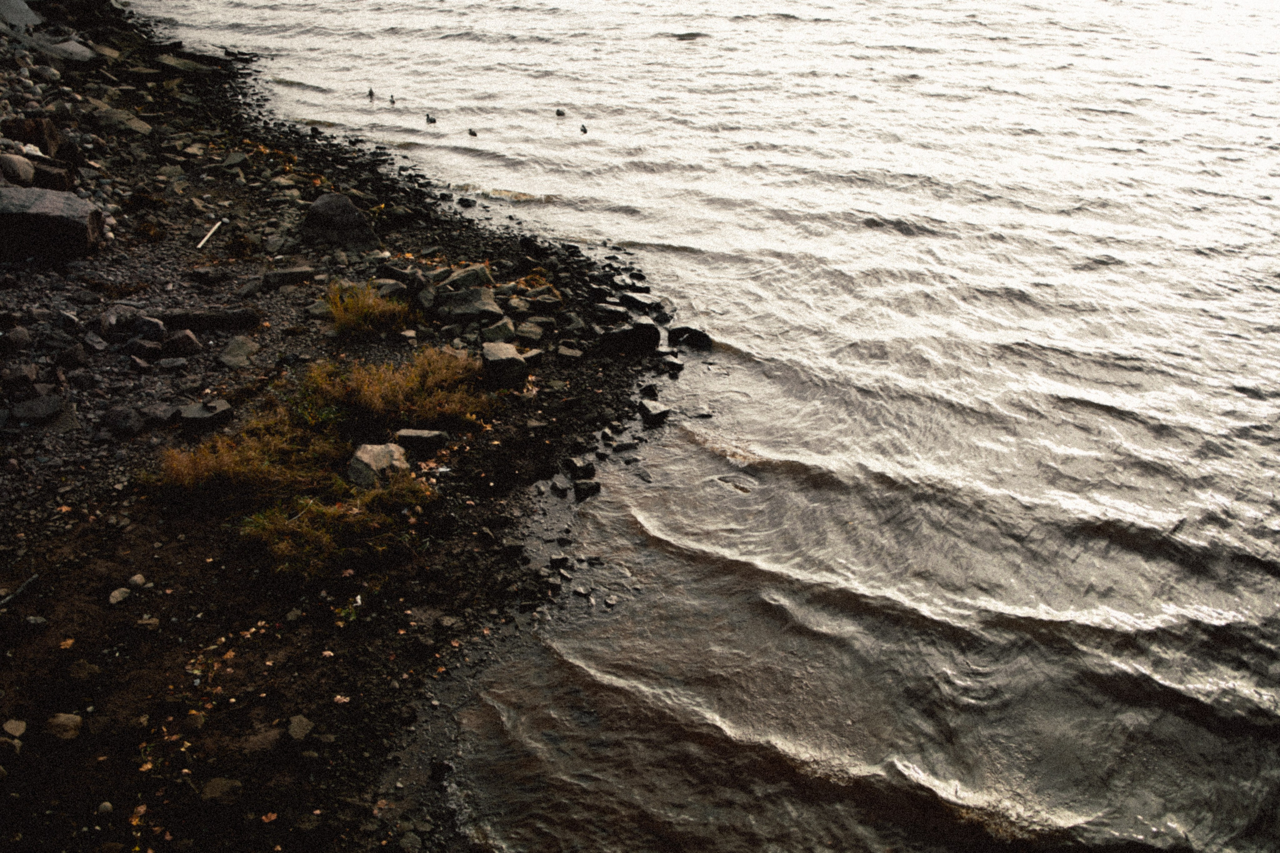 Лахта. Анна Мильч