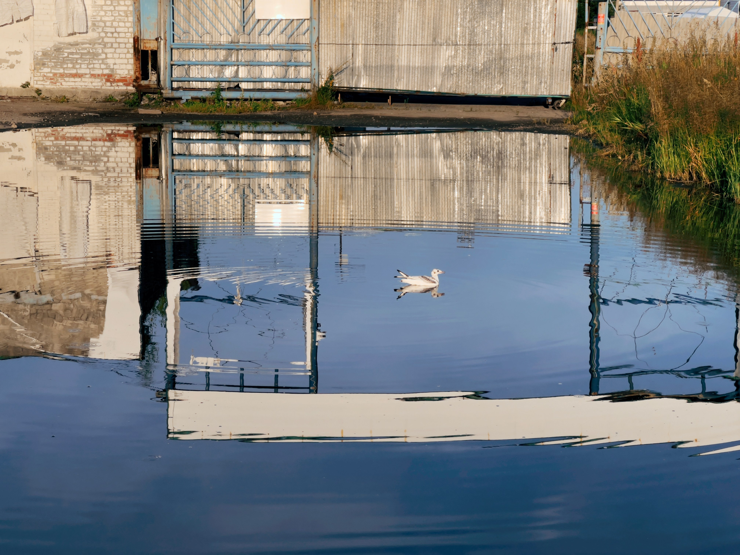 Улицы. Фотограф Артём Бобков Сургут