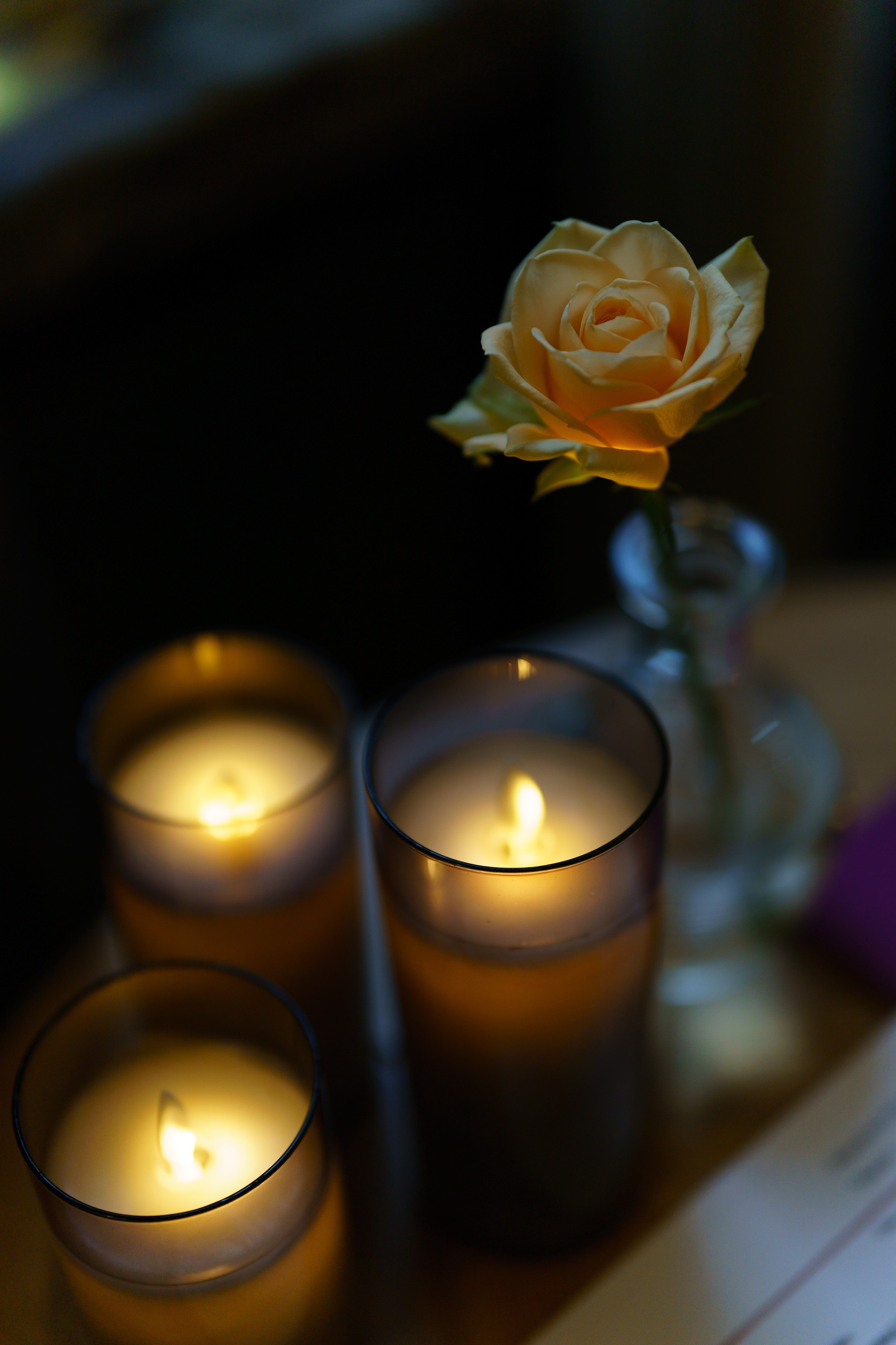 Platov Danaya. Репортажный фотограф Ростов-на-дону