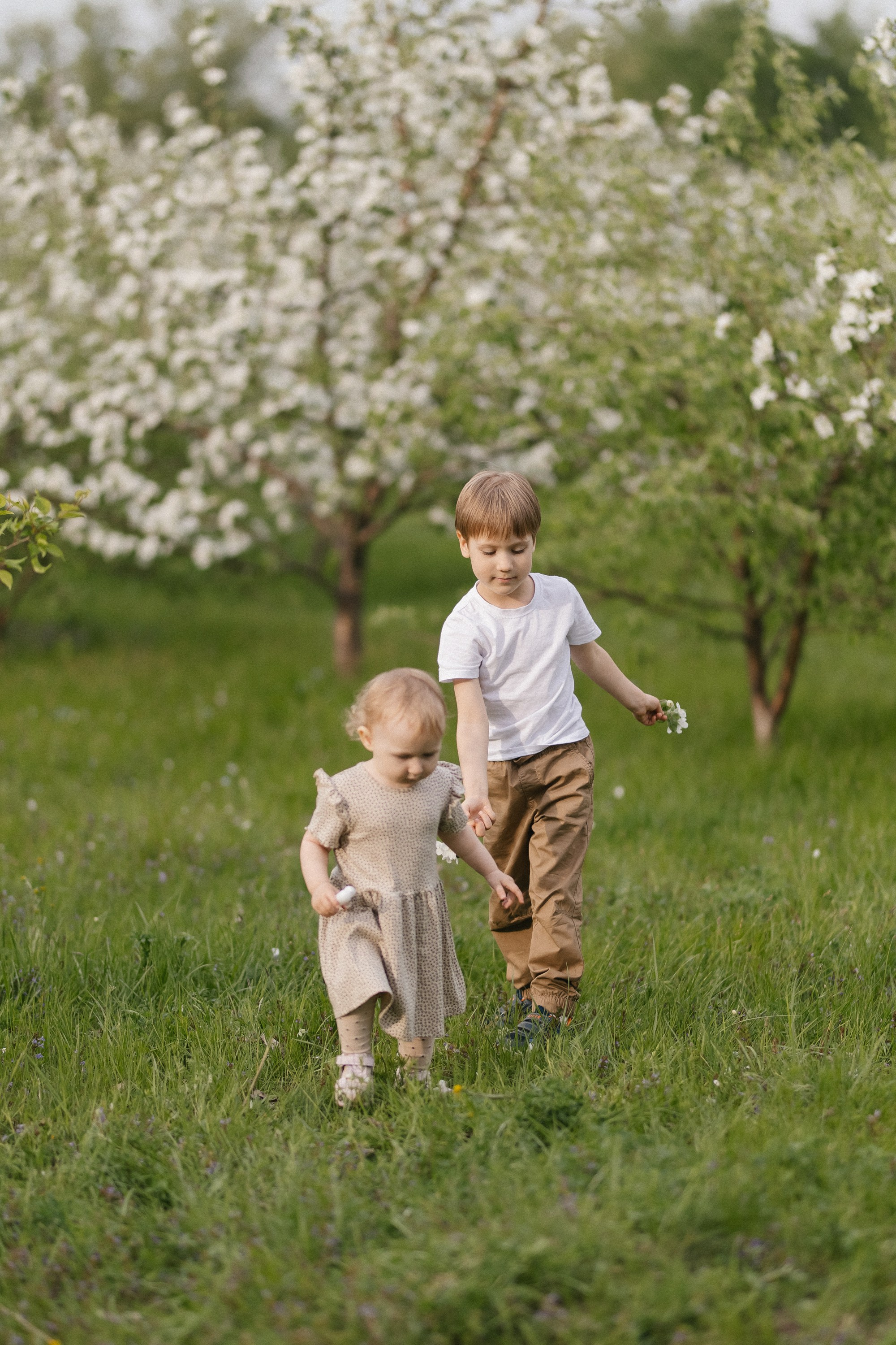 ДАША, ПАША, САВА И САША ` 24. Maria Startseva Photo