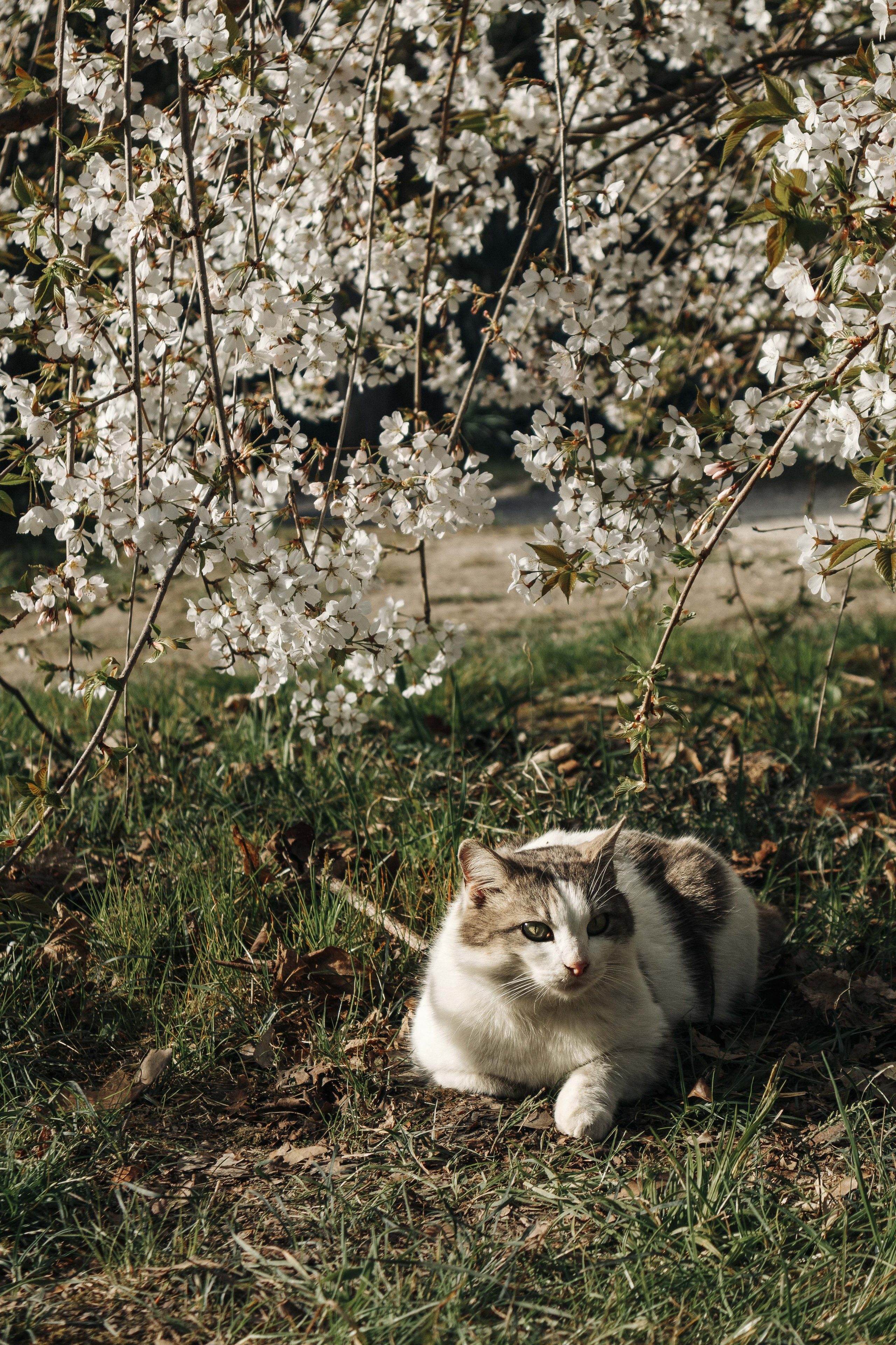Дарья. Фотограф Александр в Сочи, Адлере и на Роза Хутор — фотосессии для девушек, пар и мероприятий | PhotoSetLAmour