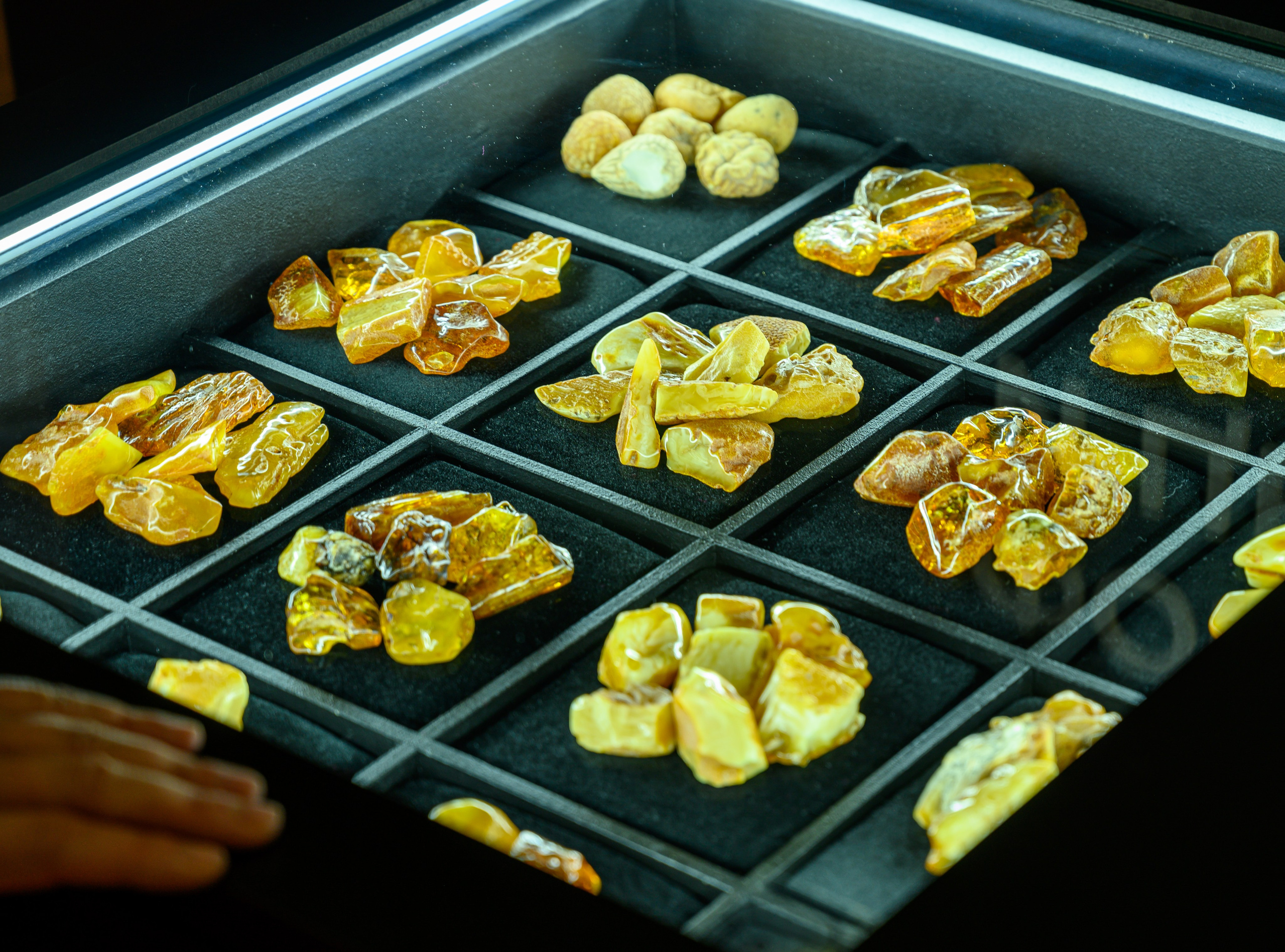 Репортажная съемка. Фотограф Андрей Зикеев, фотостудия AzArt Studio в Москве