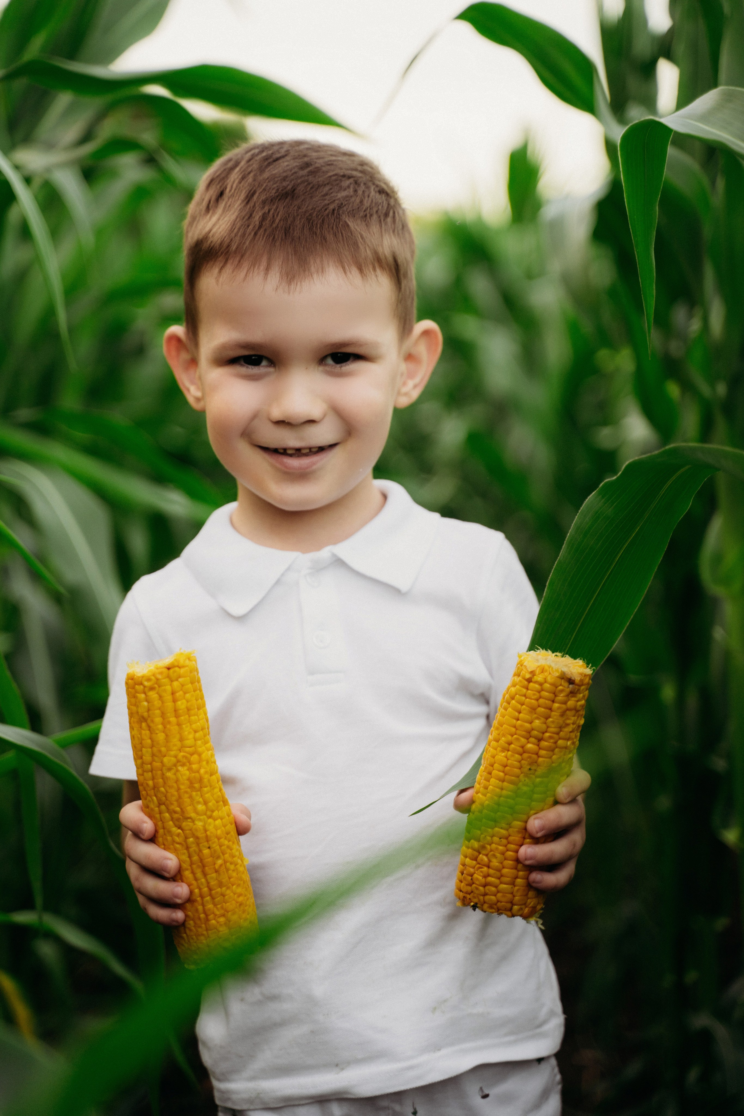 Фотосессия в Кукурузе