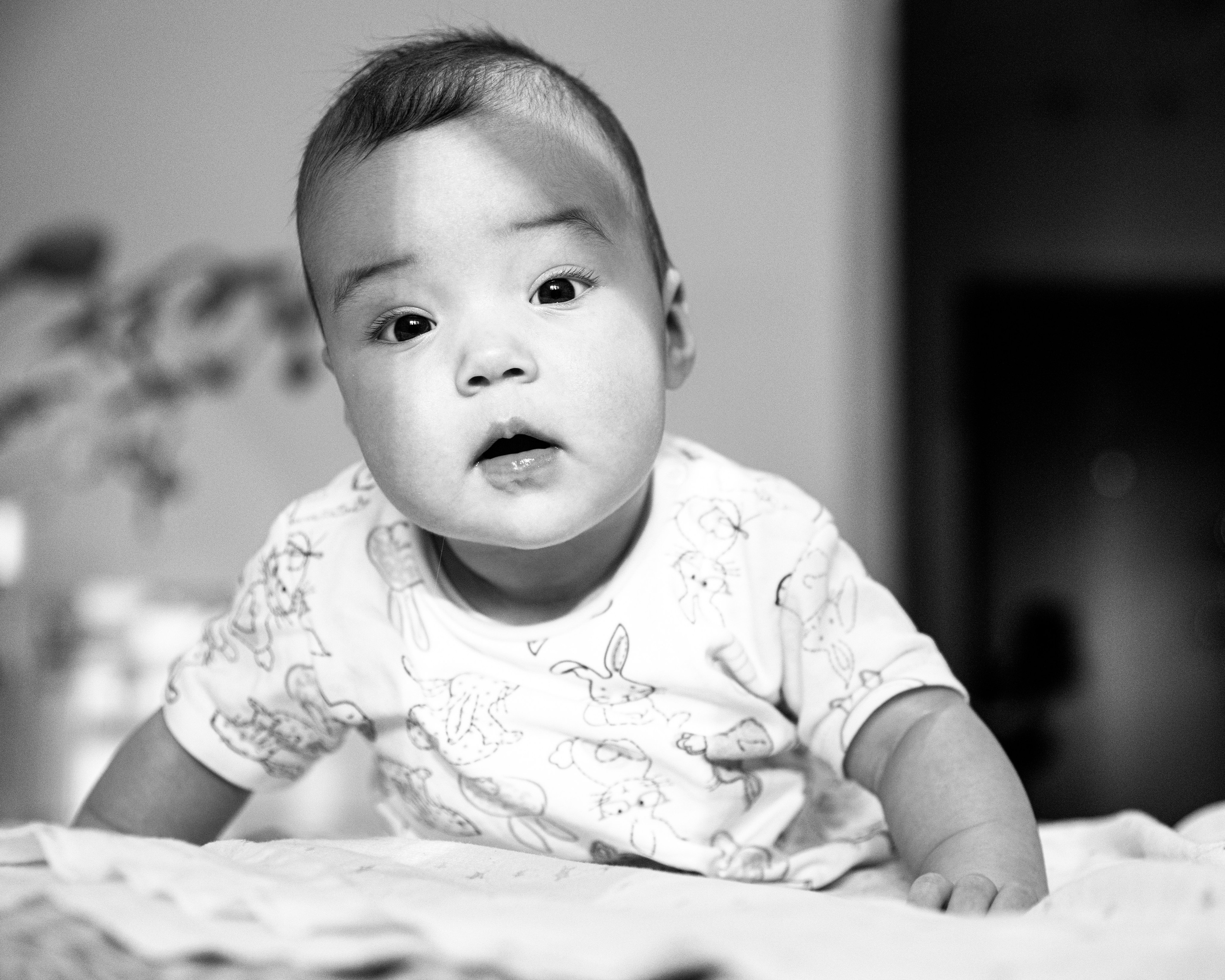 Фотограф Вера Фролова