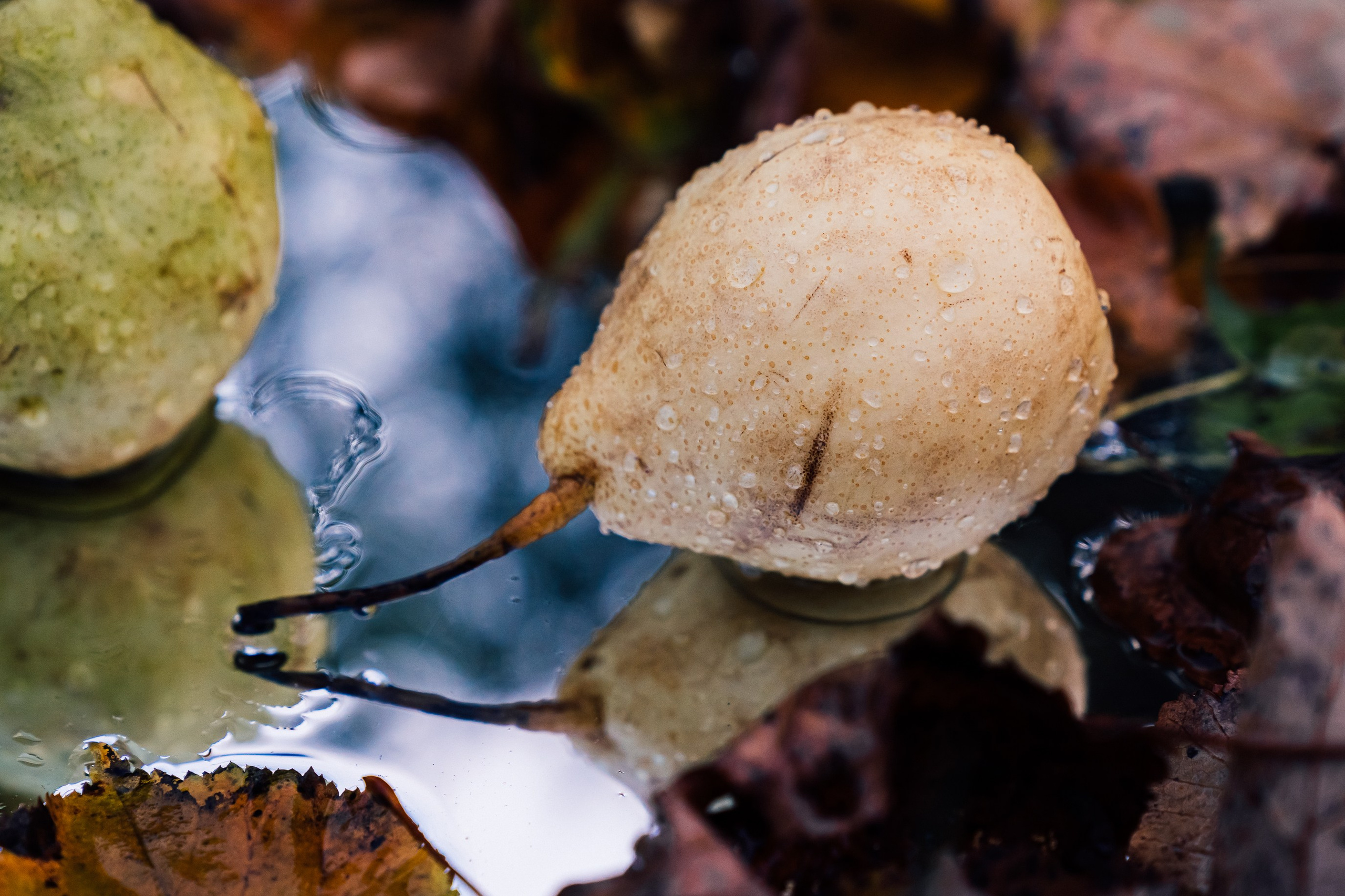 Предметная фотография. Медиа продакшн, Ян Фадеев, создание видео и фото, Москва, Россия