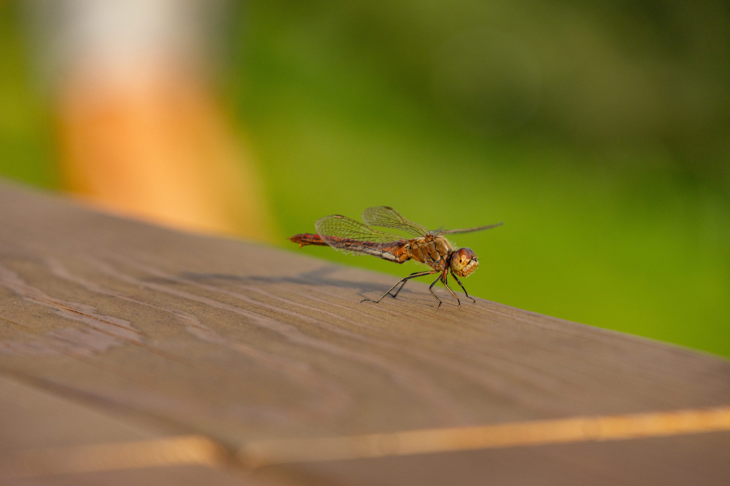 Омск. Jean De Vivre Gallery