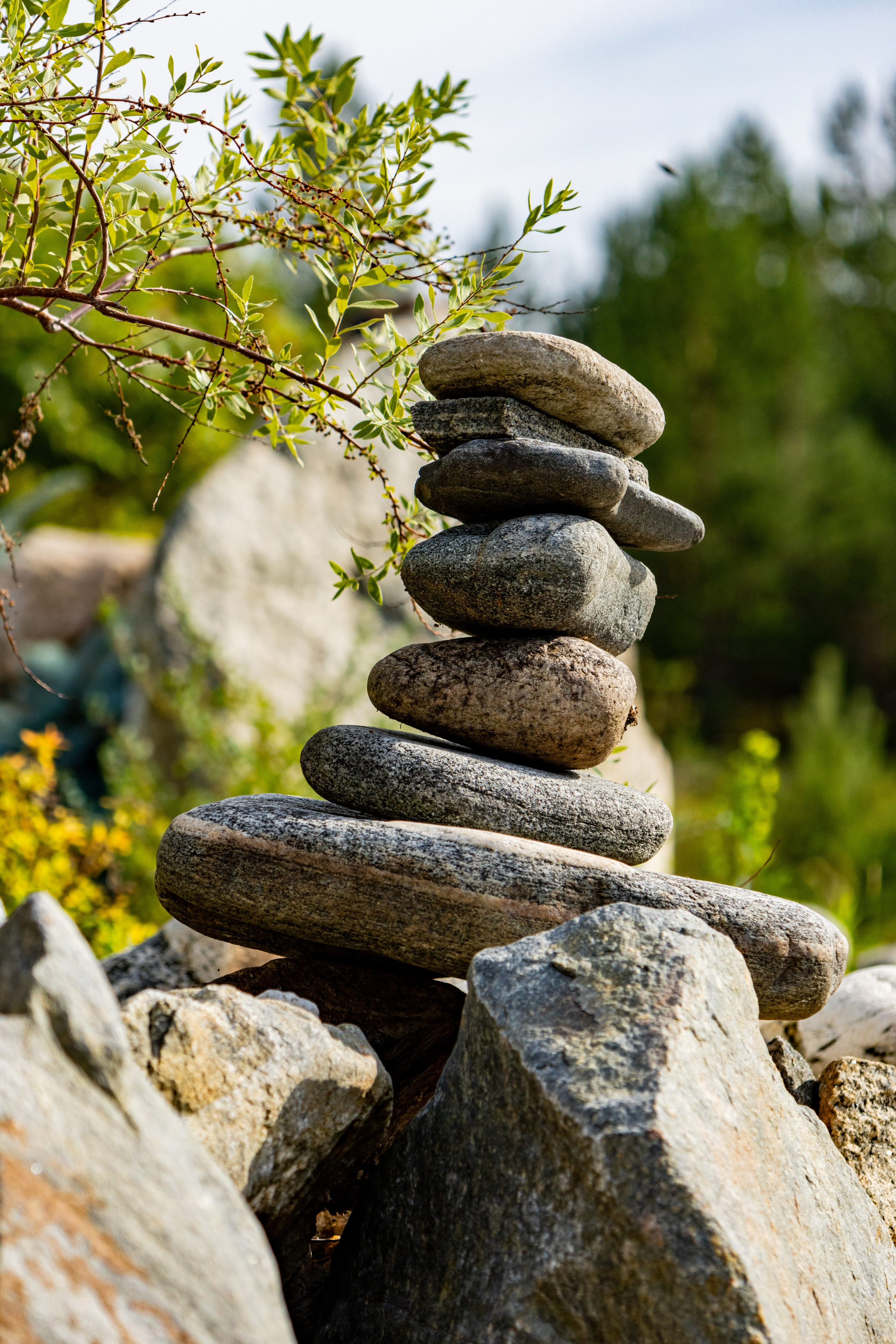 Улан-Удэ. Jean De Vivre Gallery