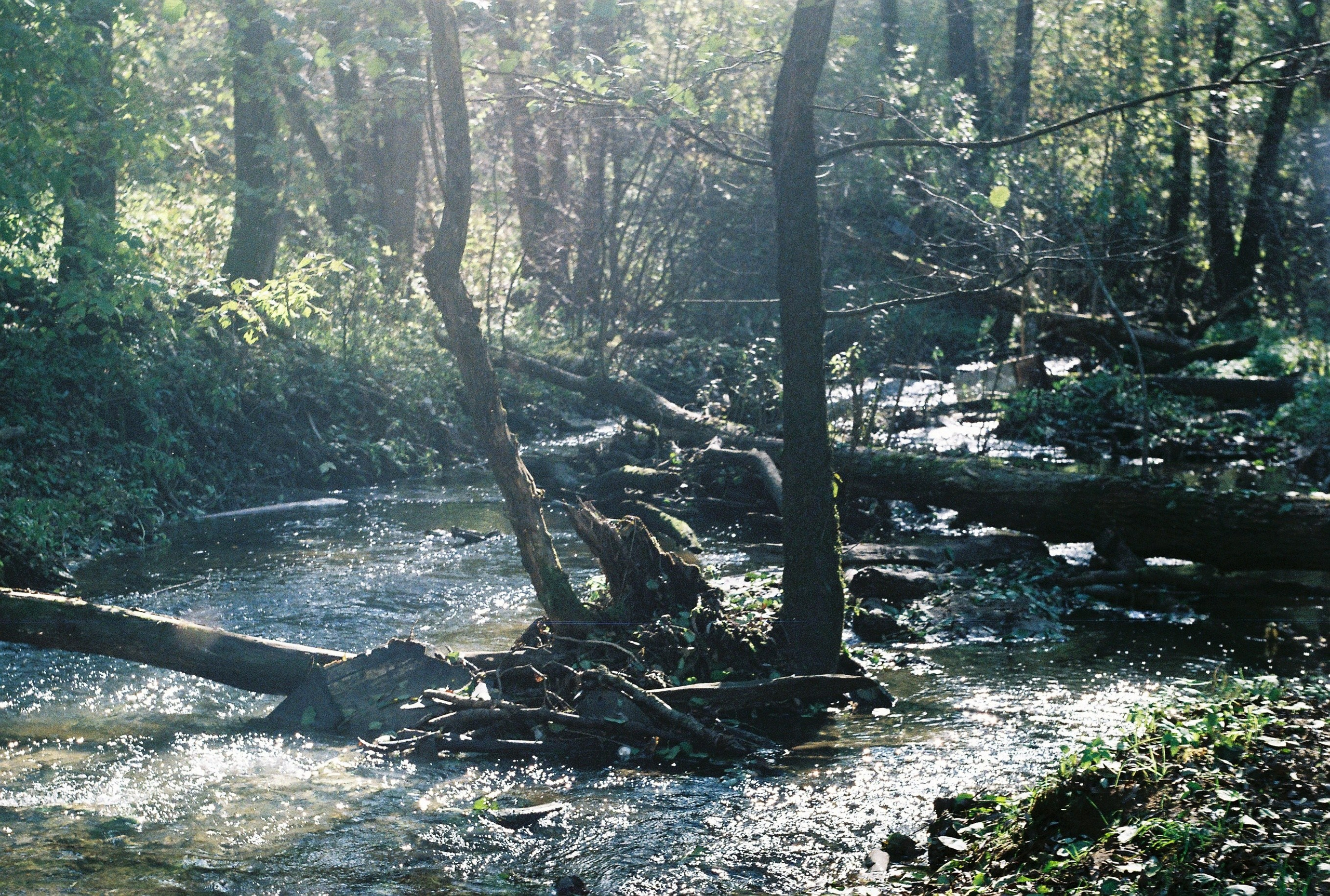 KALUGA. ANNA — PHOTOGRAPHER