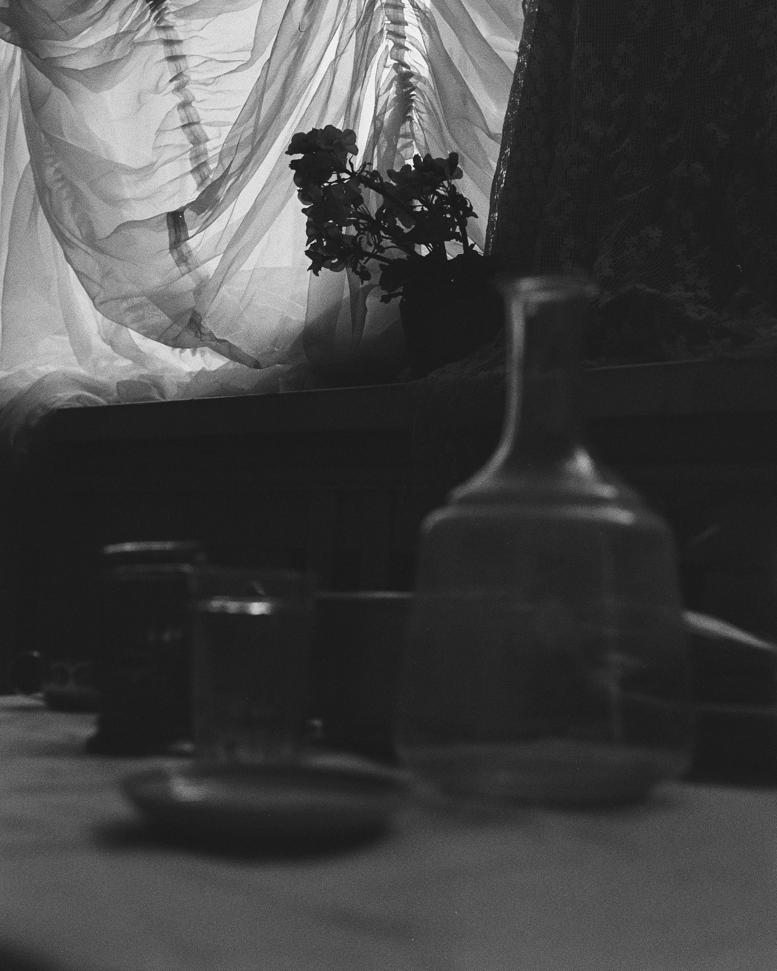 ЦОКС. ANNA — PHOTOGRAPHER