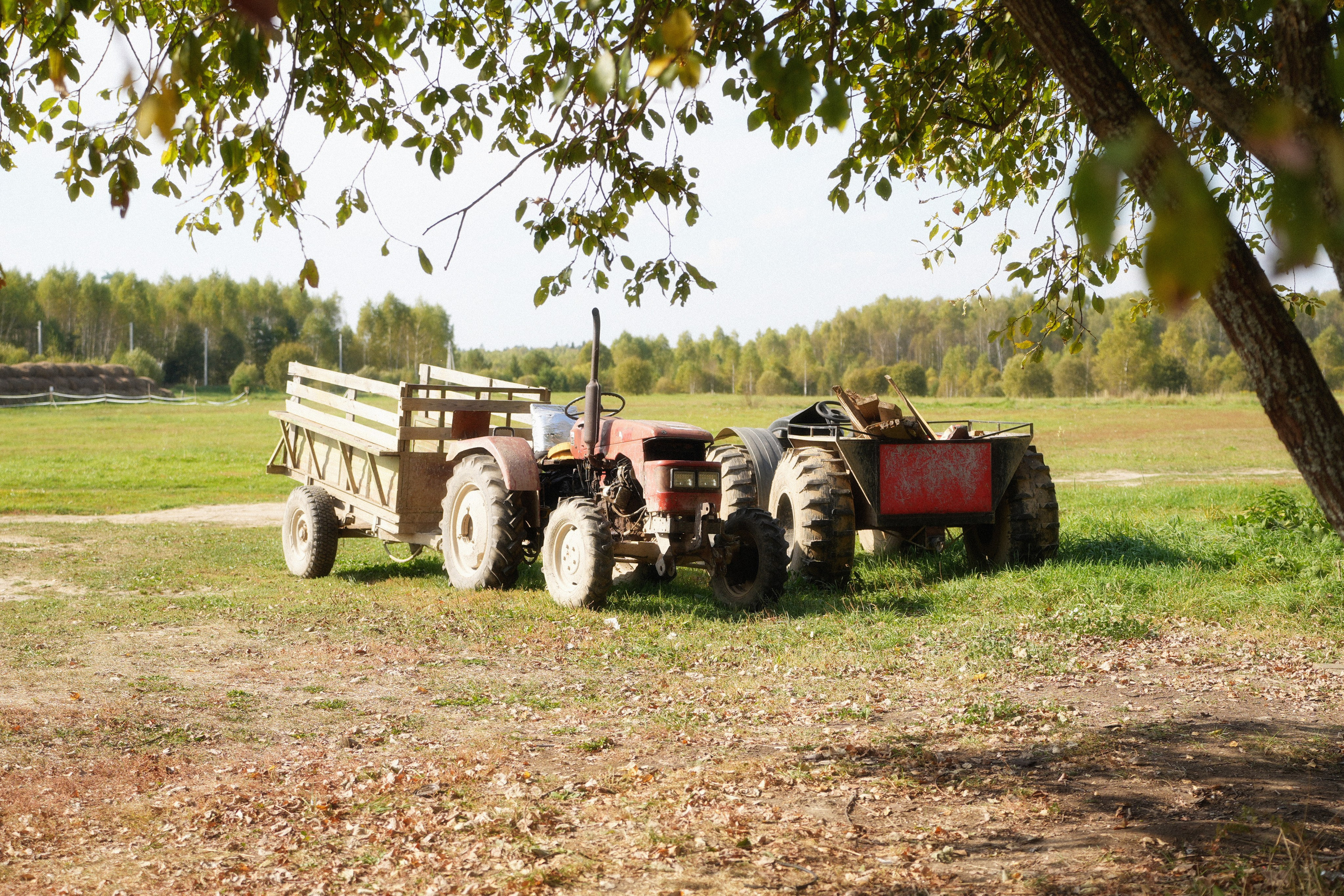 НОВОЕ СЛОВО. ANNA — PHOTOGRAPHER